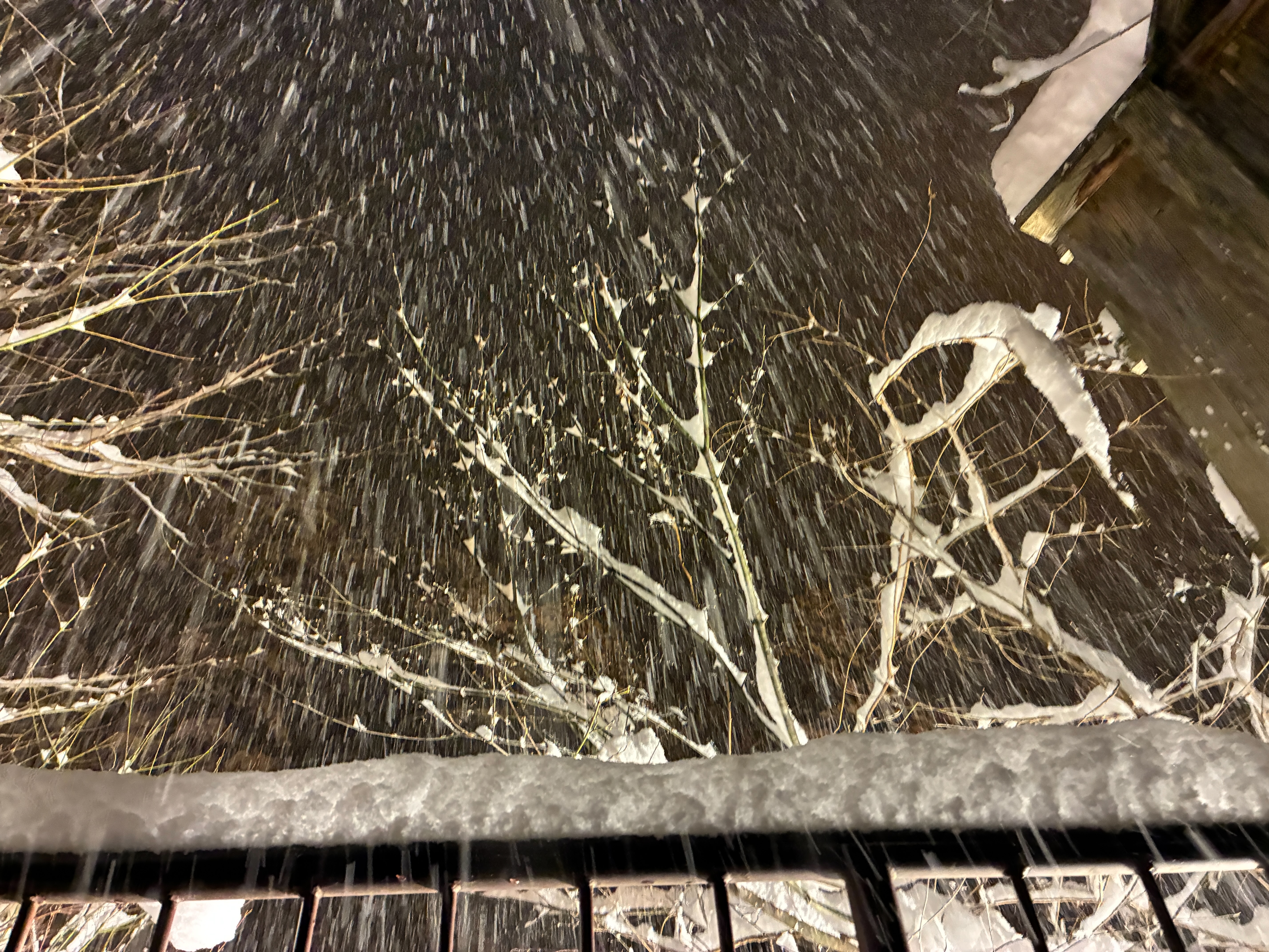 ホテル湯西川 貸切雪見露天風呂