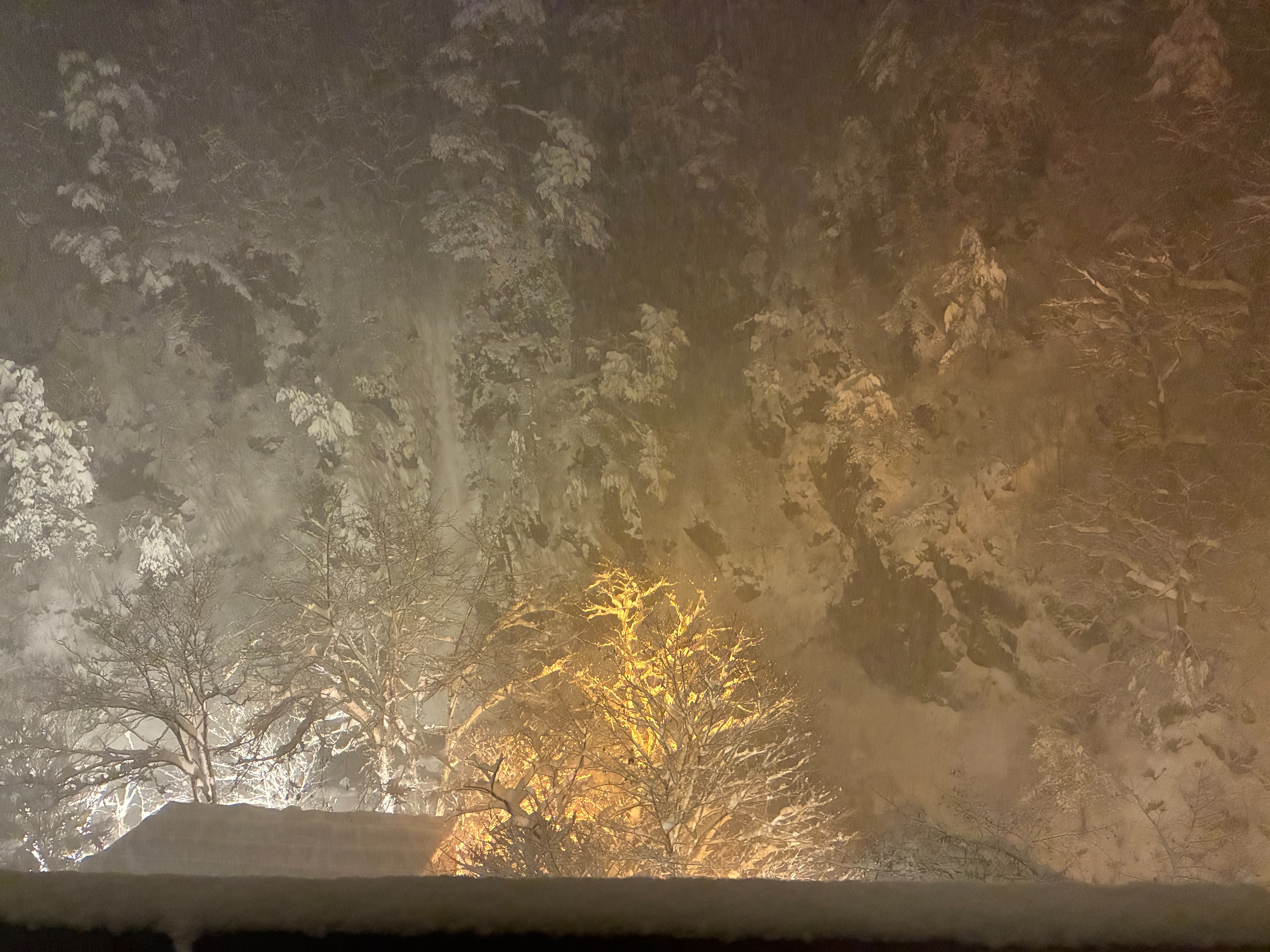 ホテル湯西川 雪景色