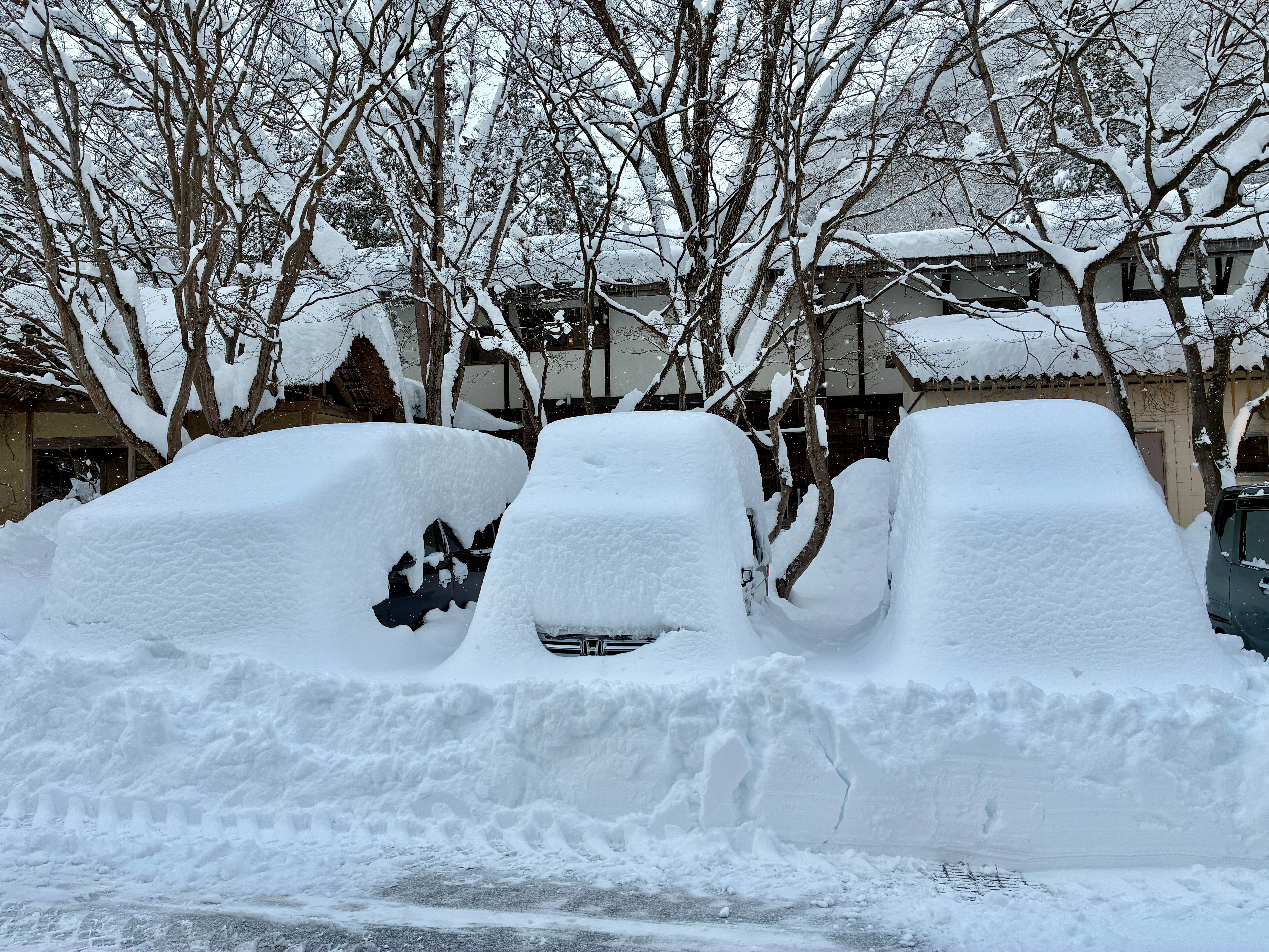 ホテル湯西川 豪雪