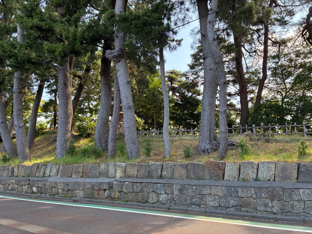 芦城公園 小松市立図書館専用駐車場向かいの石垣