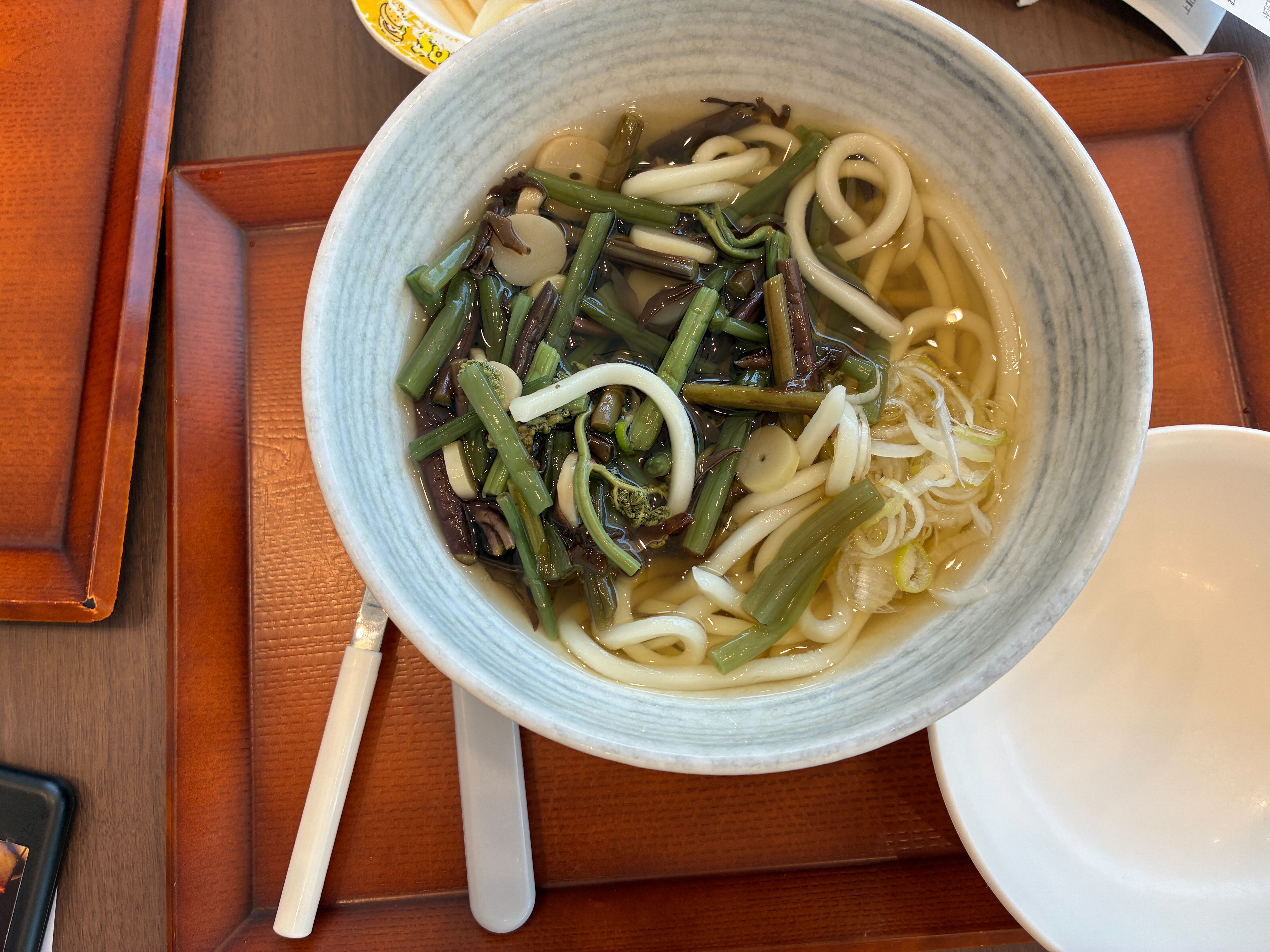 道の駅 めぐみ白山 麵屋㐂色 冷やし山菜うどん 760円