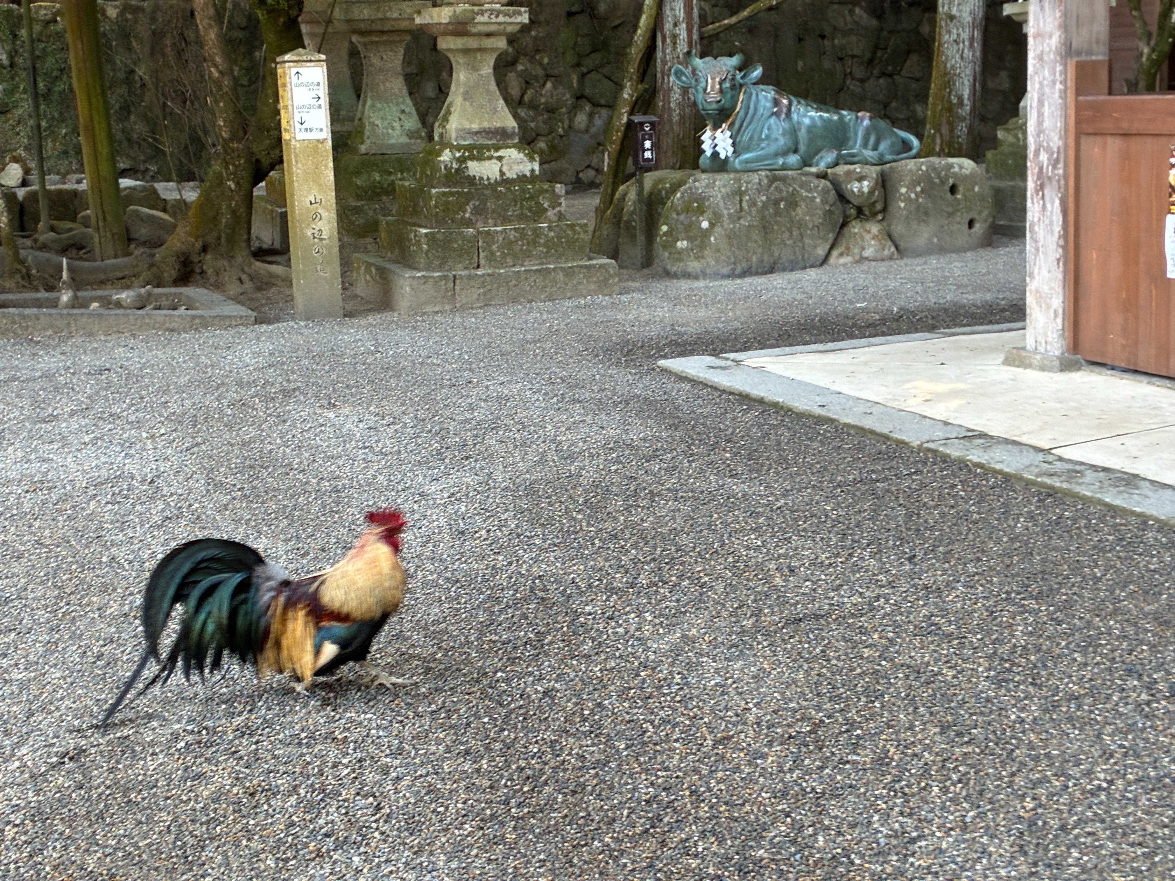 石上神宮 東天紅