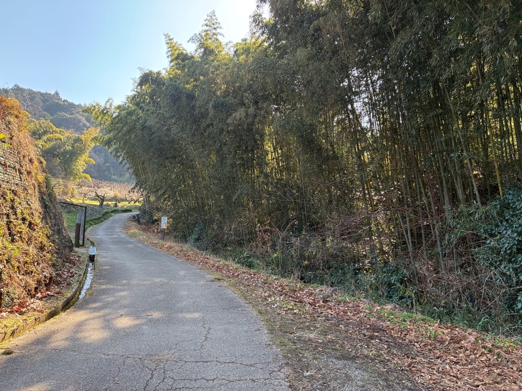 山の辺の道 内山永久寺跡近辺