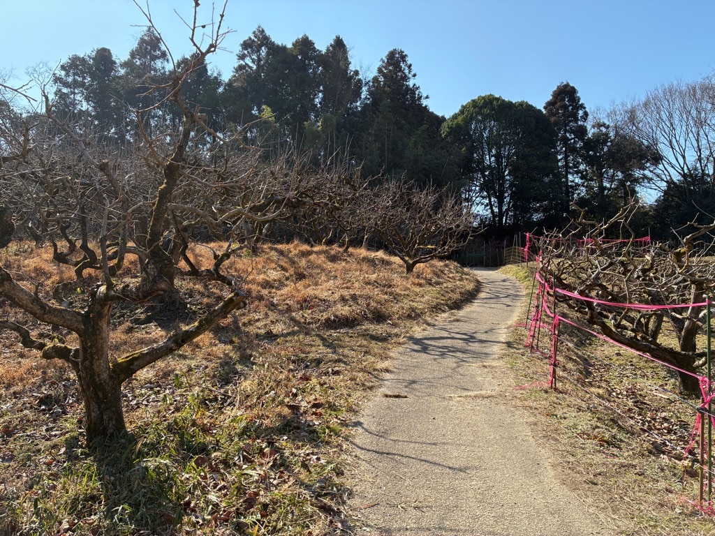 山の辺の道 内山永久寺跡～白山神社間