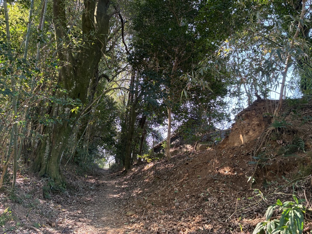 山の辺の道 白山神社の先