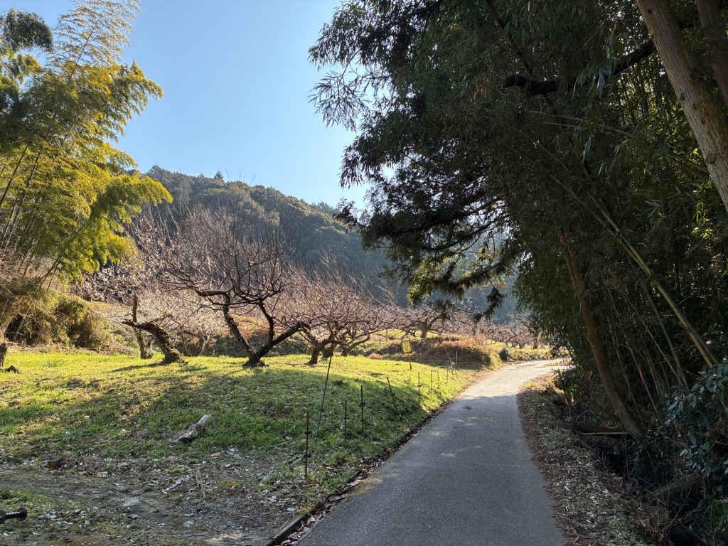 山の辺の道 内山永久寺跡の先