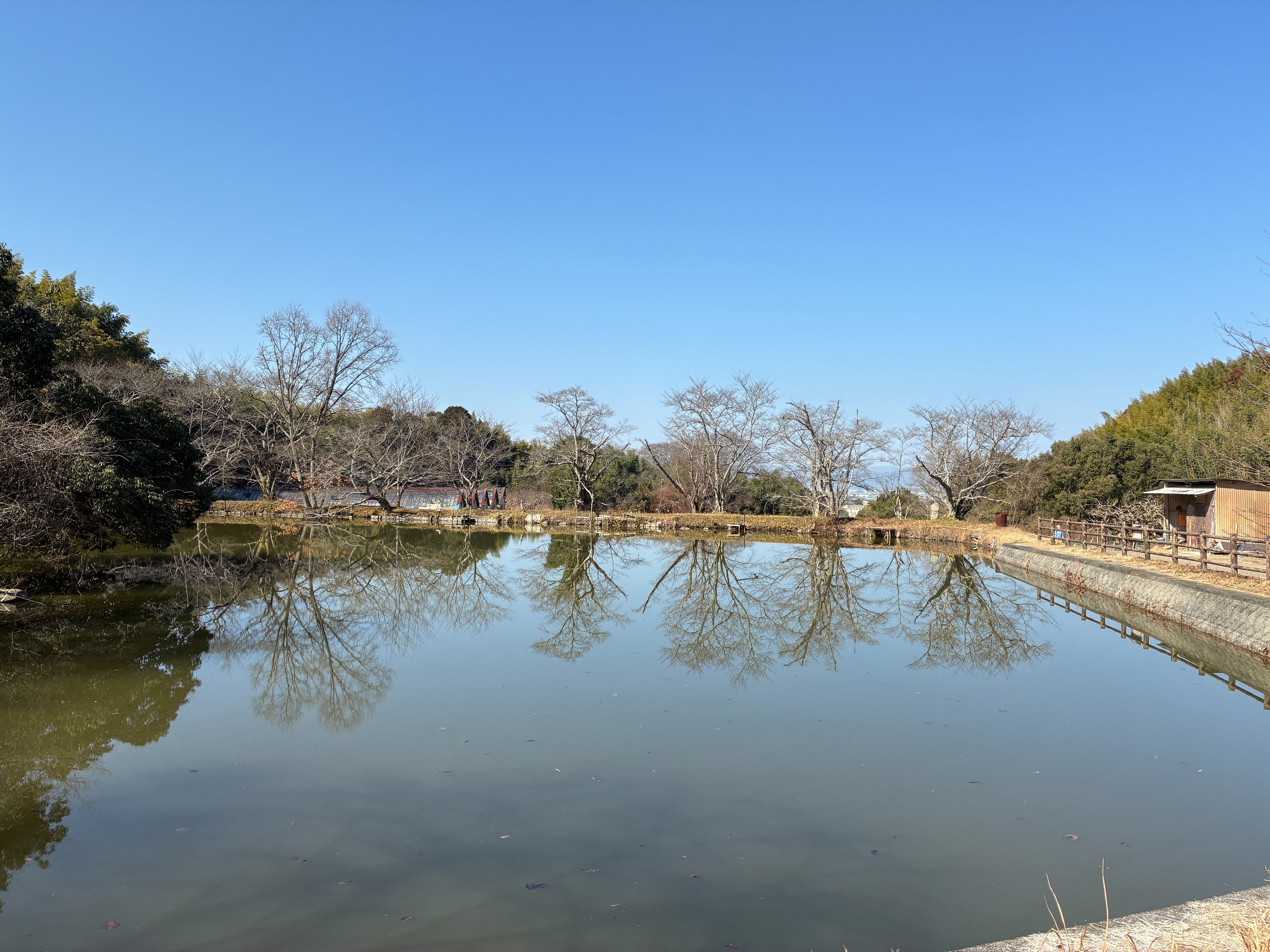 山の辺の道 本堂池