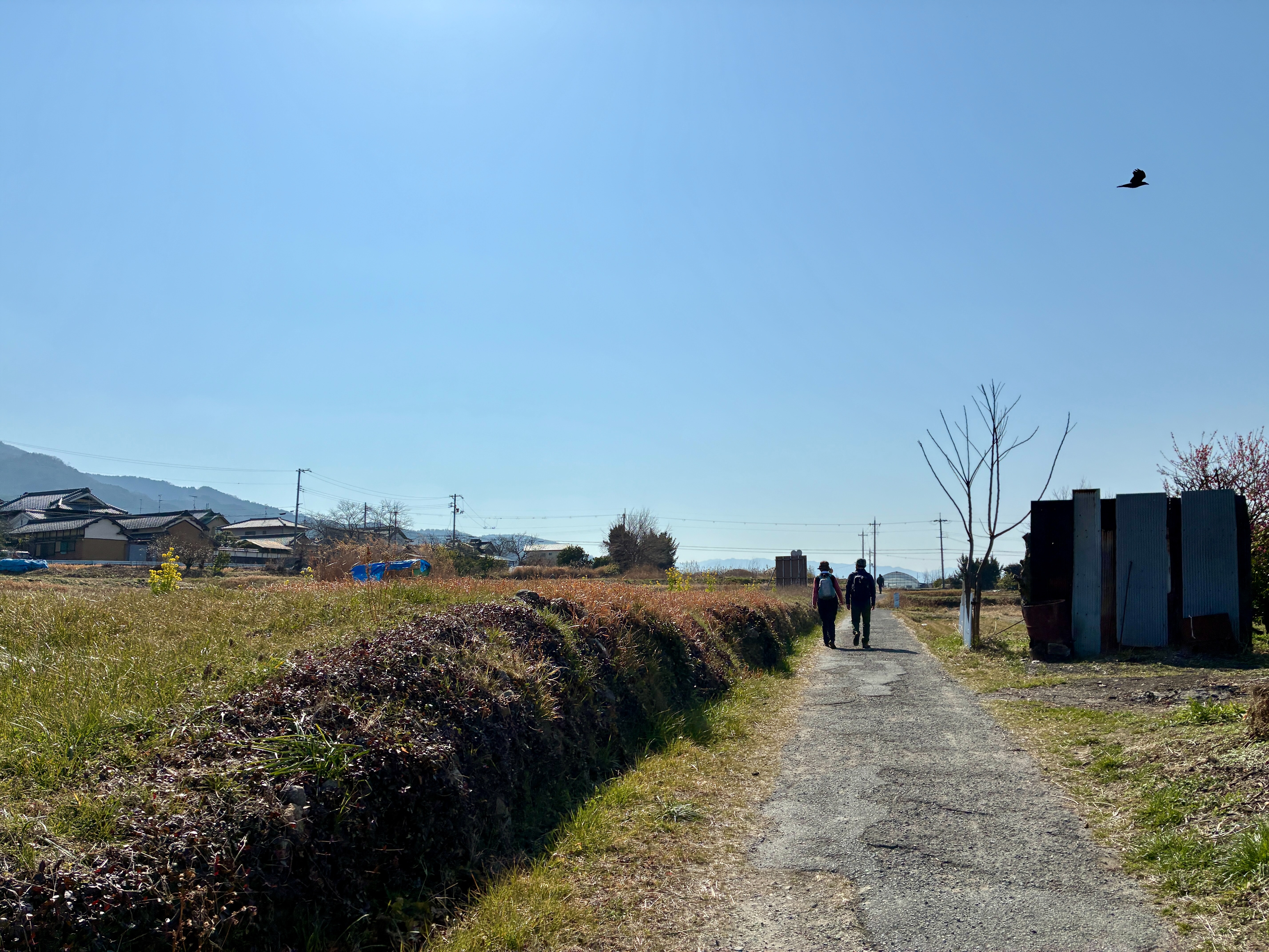 山の辺の道 歩く夫婦