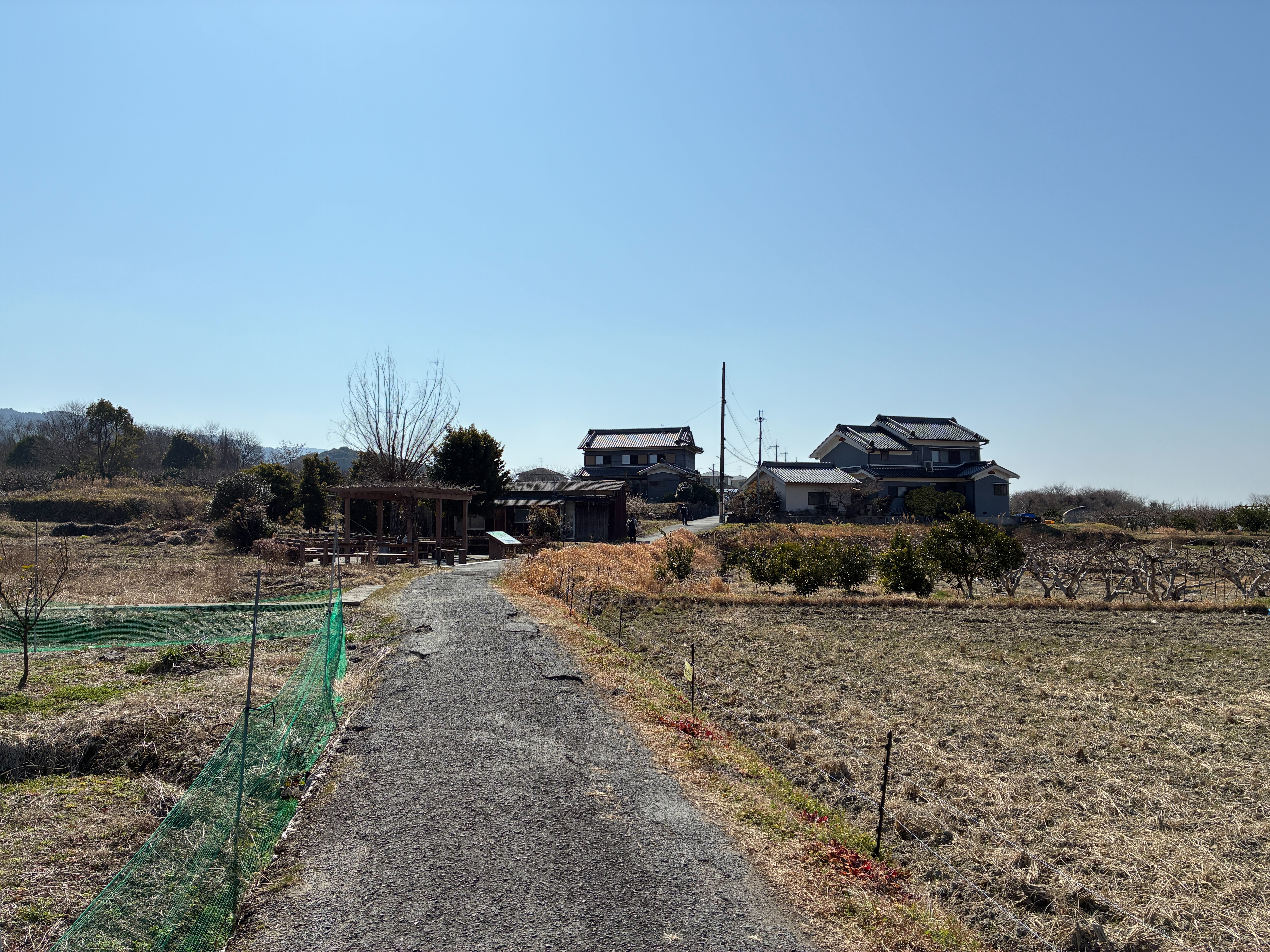 山の辺の道 のどかな田畑風景