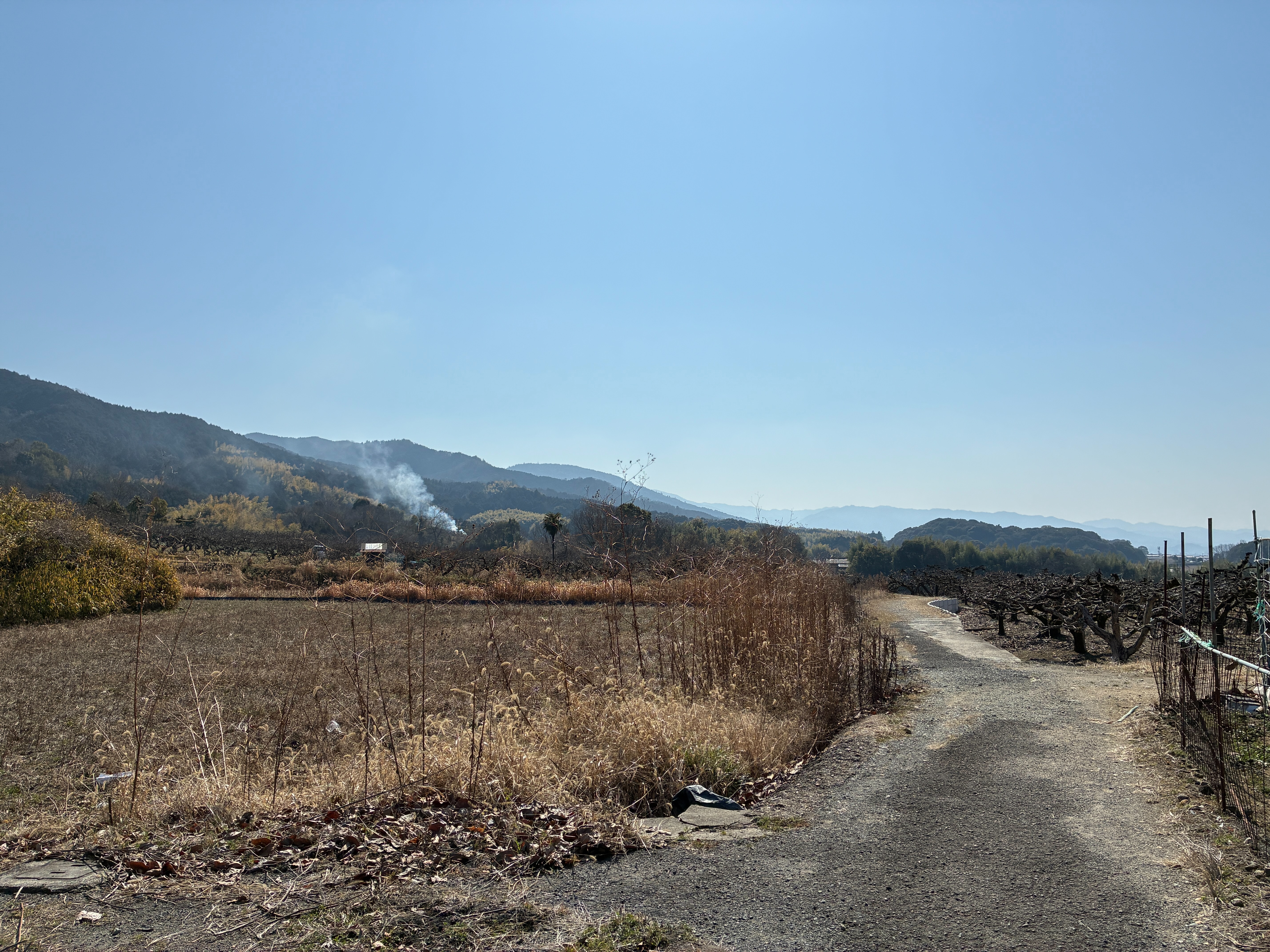 山之辺の道 衾田陵近辺