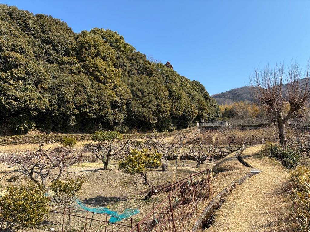 山の辺の道 衾田陵