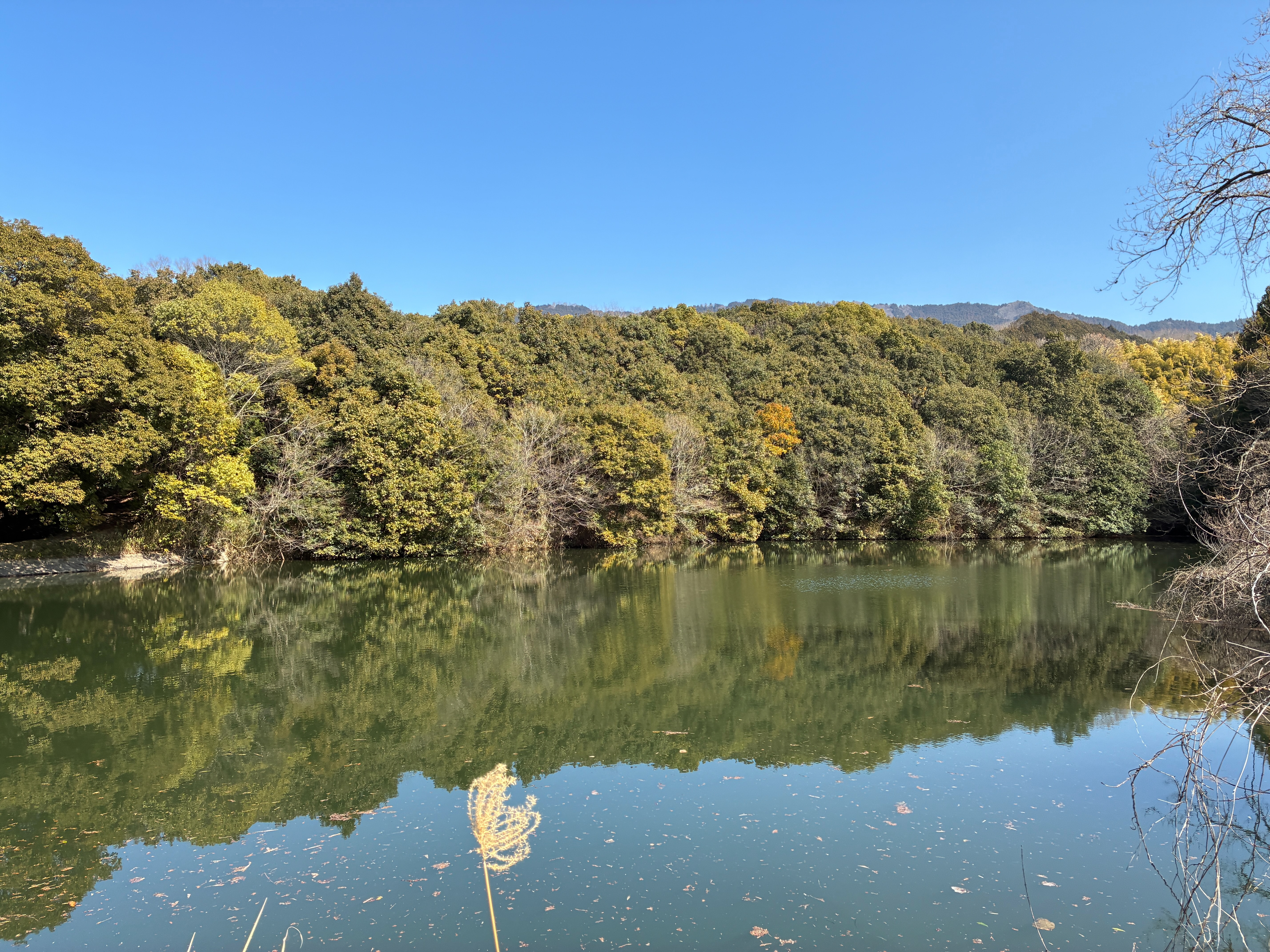 山の辺の道 櫛山古墳 双方中円墳