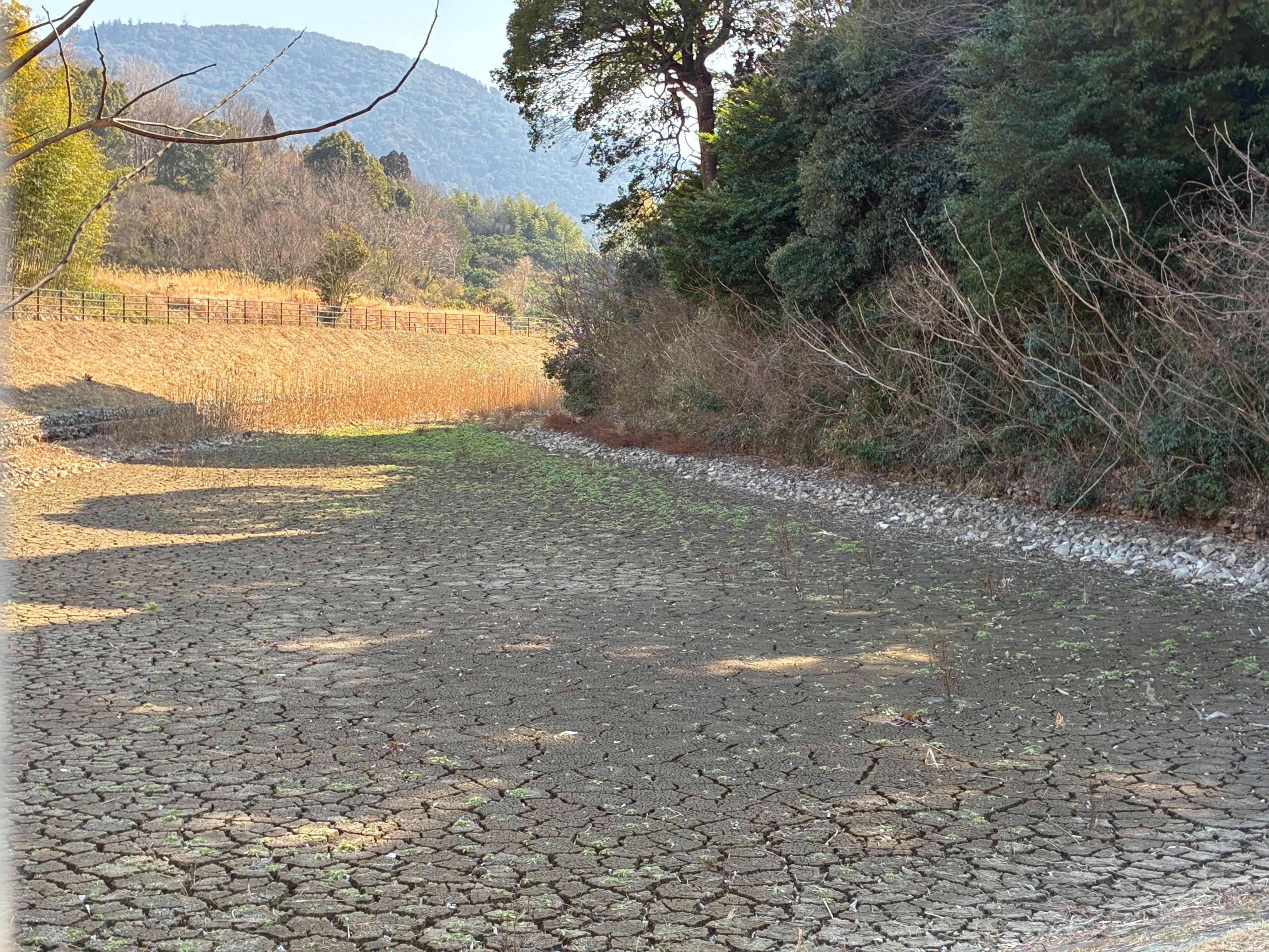 山の辺の道 景行天皇陵 周濠