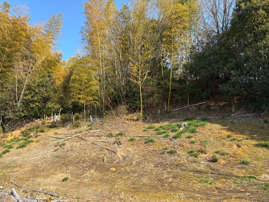 山の辺の道 珠城山古墳群 3号墳