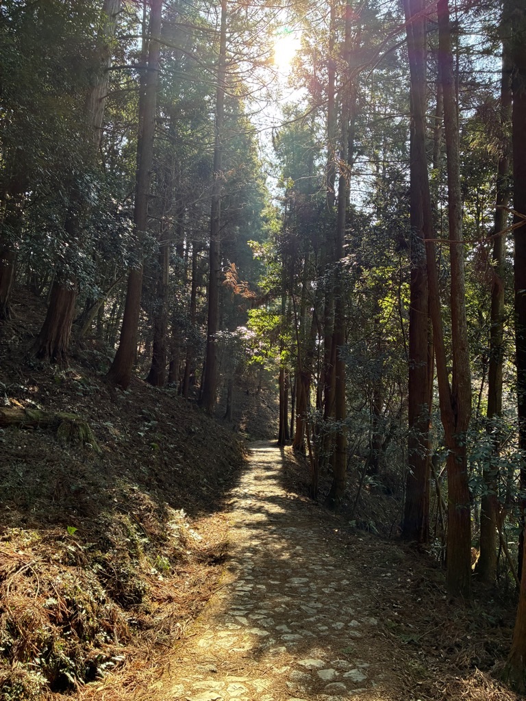 山の辺の道 大神神社へ
