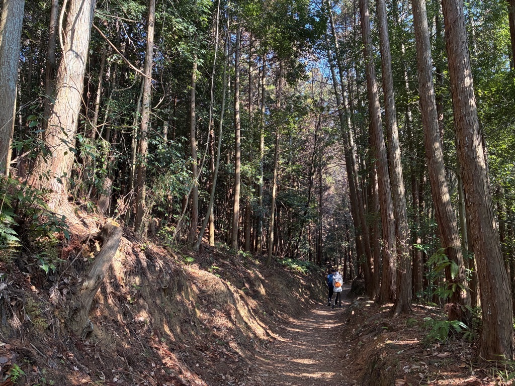 山の辺の道 大神神社へ