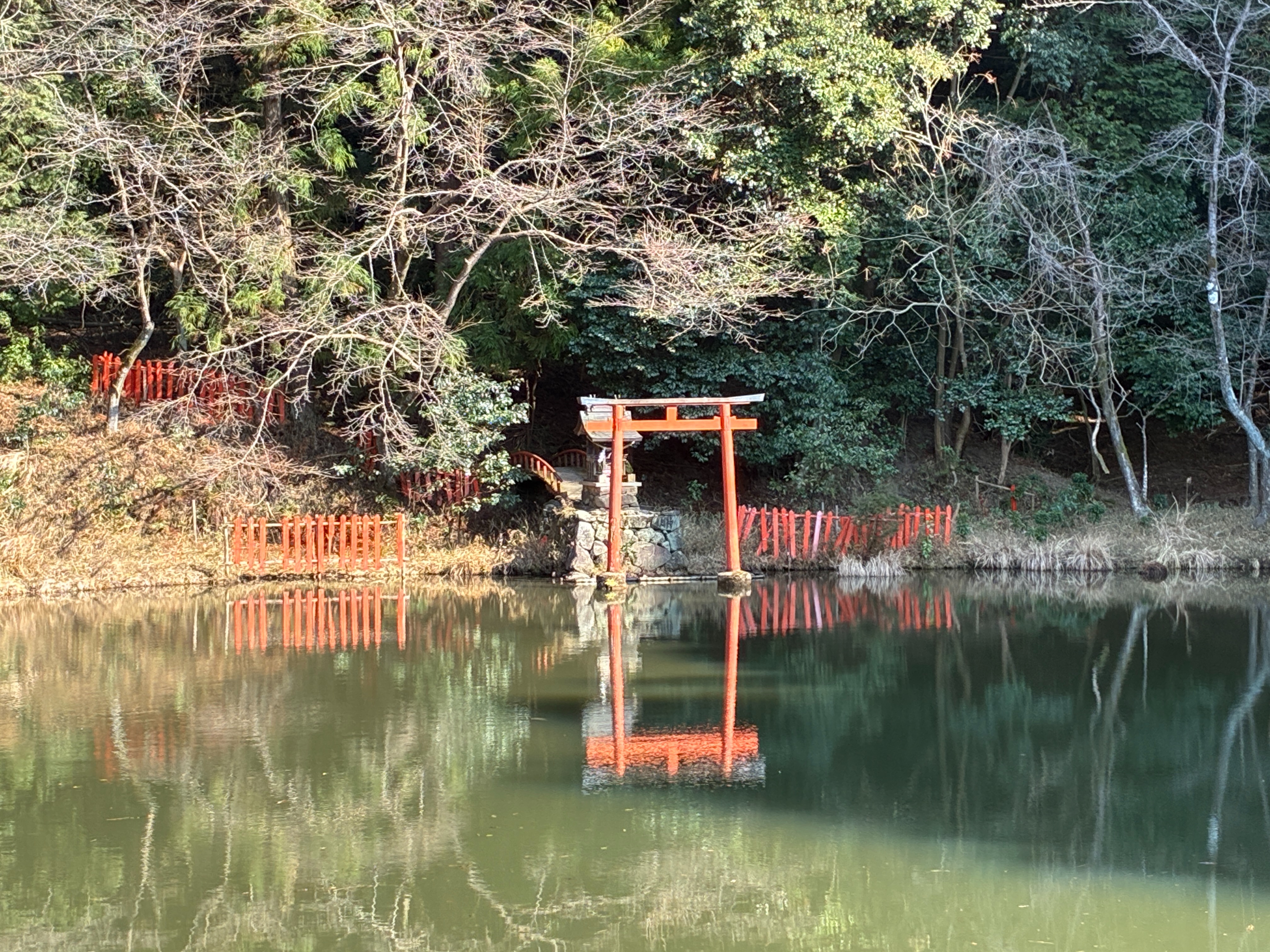 山の辺の道 岩坪上池