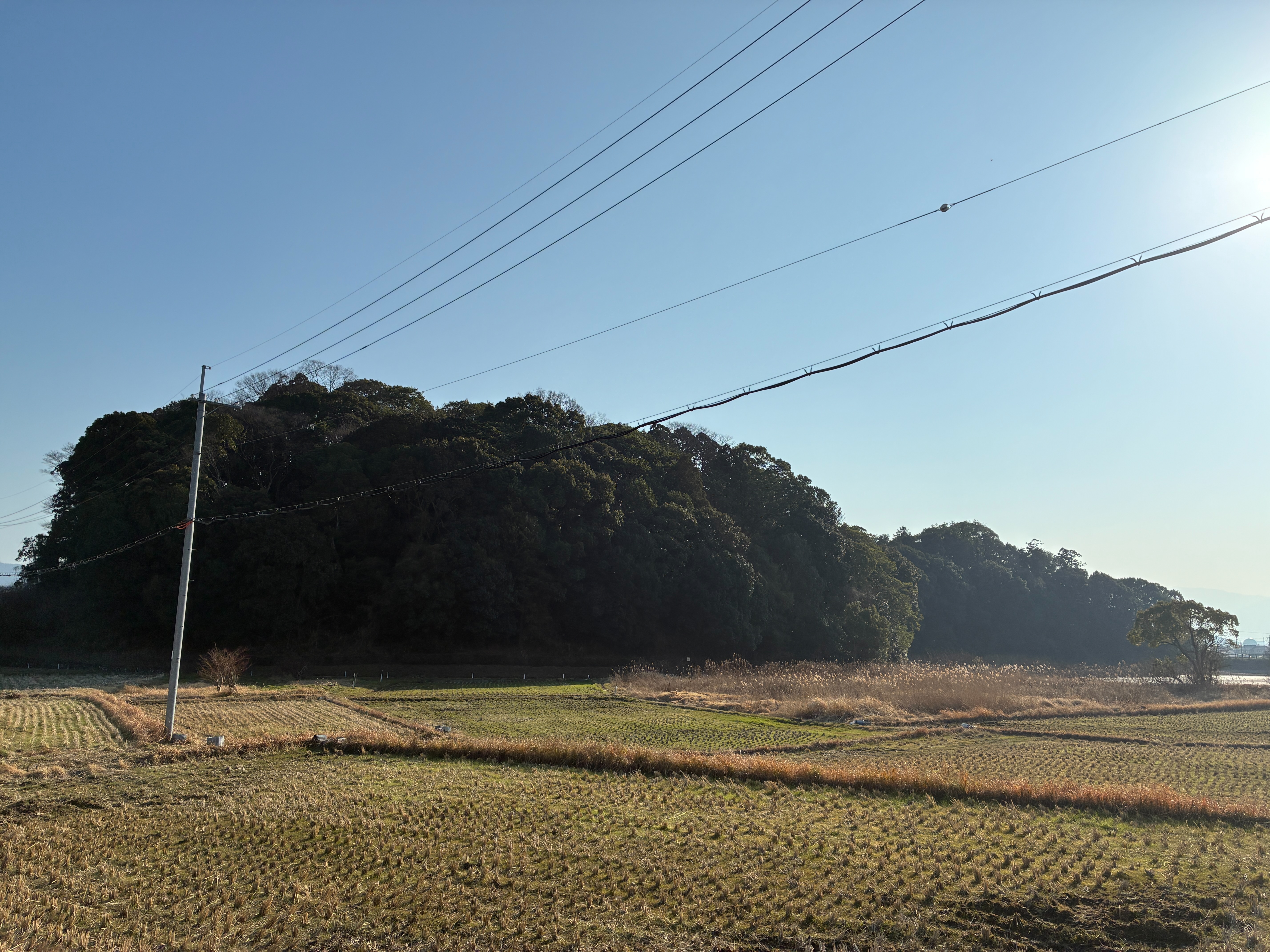 箸墓古墳 全景