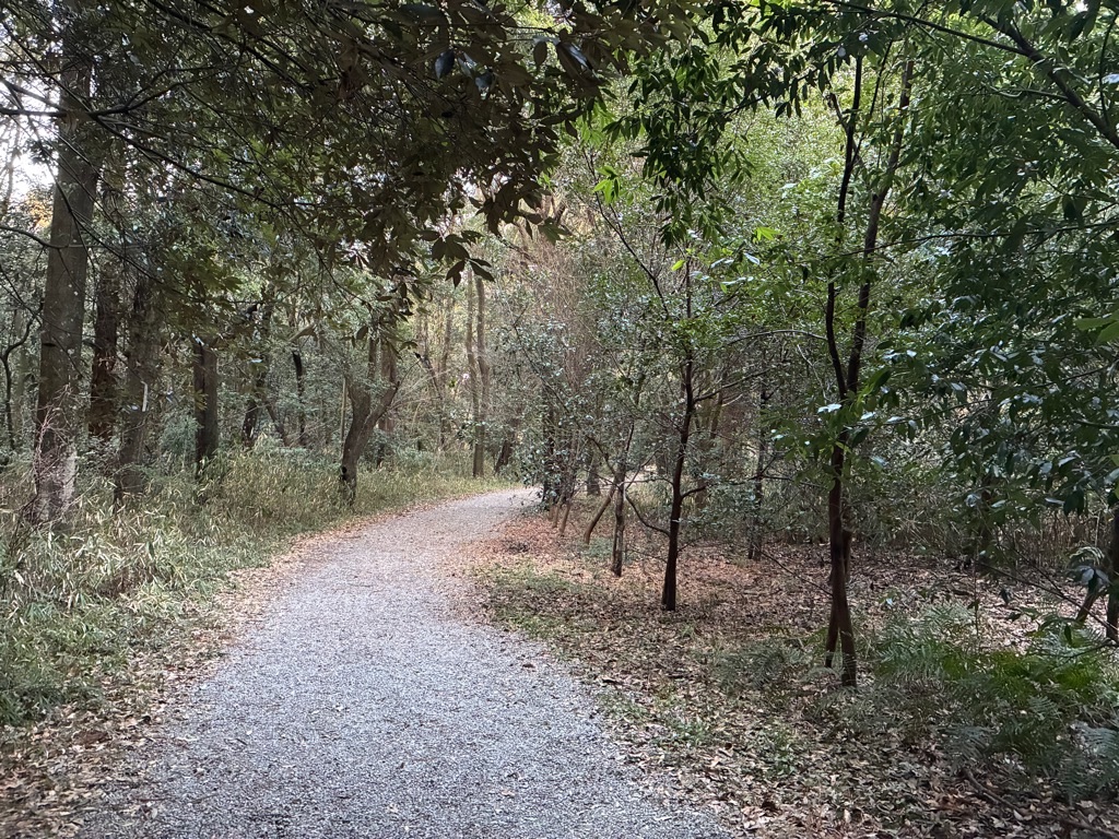 橿原神宮から神武天皇陵へ