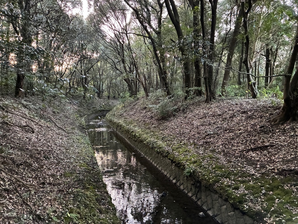 神武天皇陵 桜川
