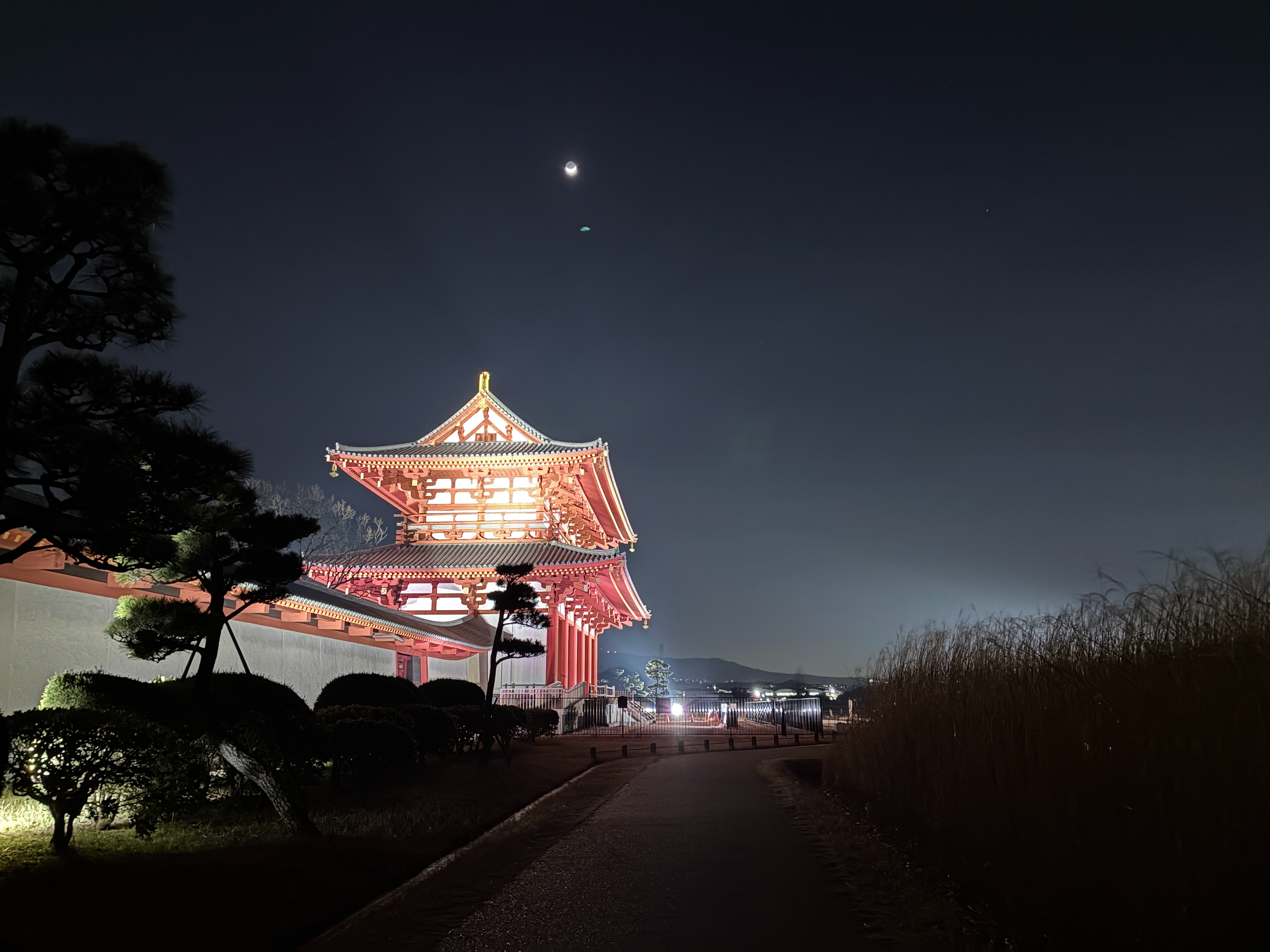 平城宮跡歴史公園 朱雀門 ライトアップ 月夜