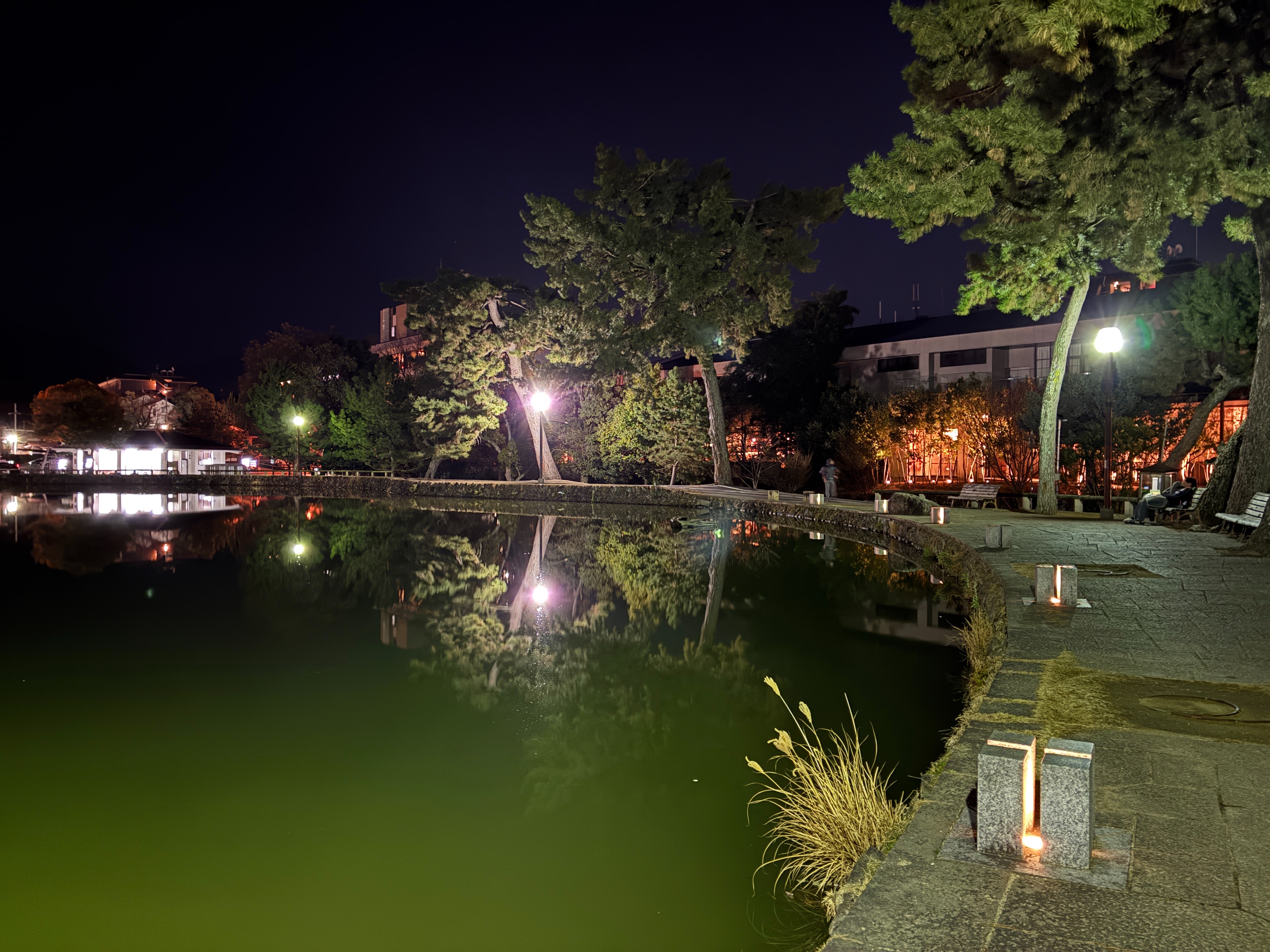 猿沢池 夜景 ライトアップ