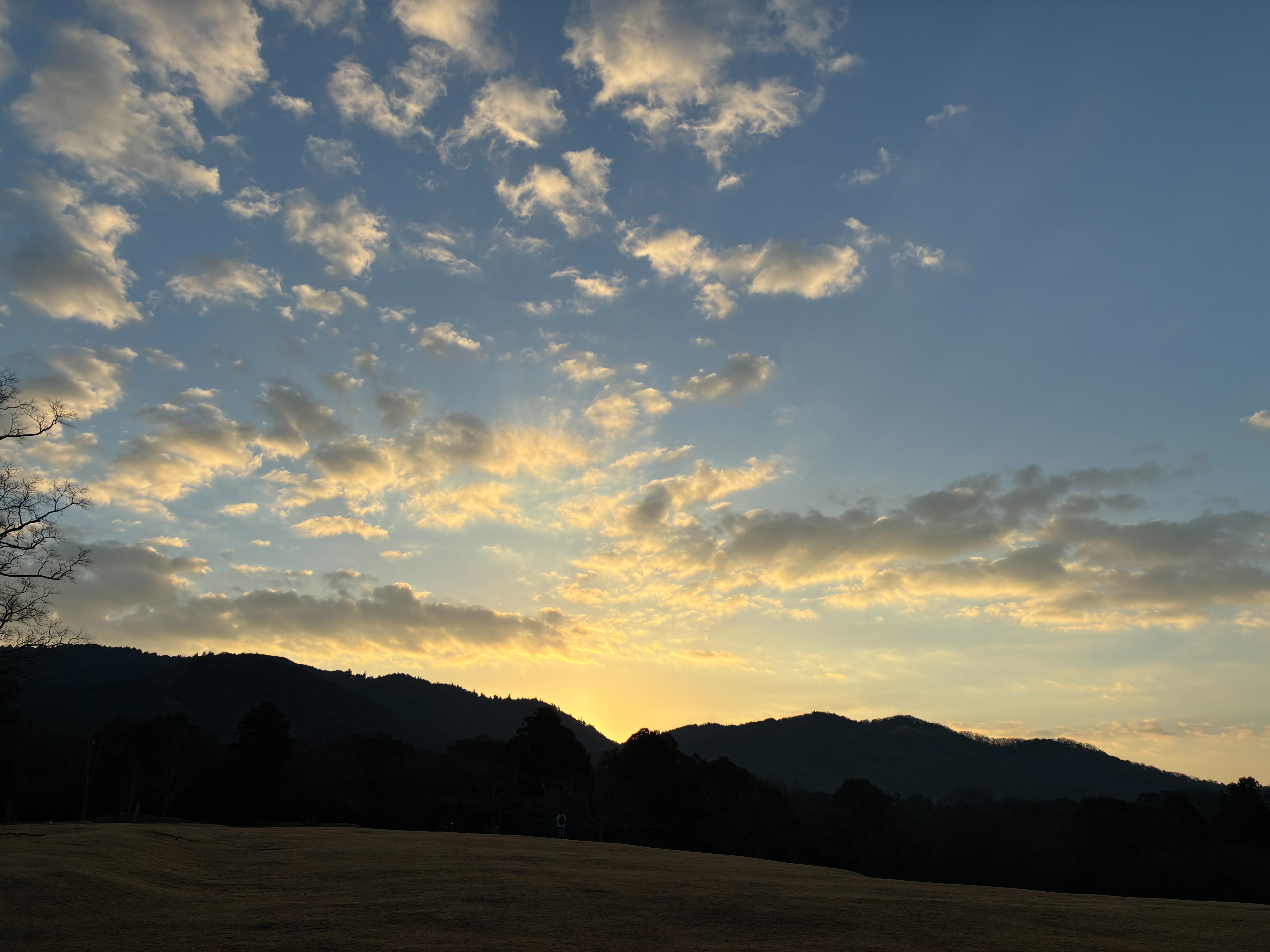 奈良公園 飛火野 日の出