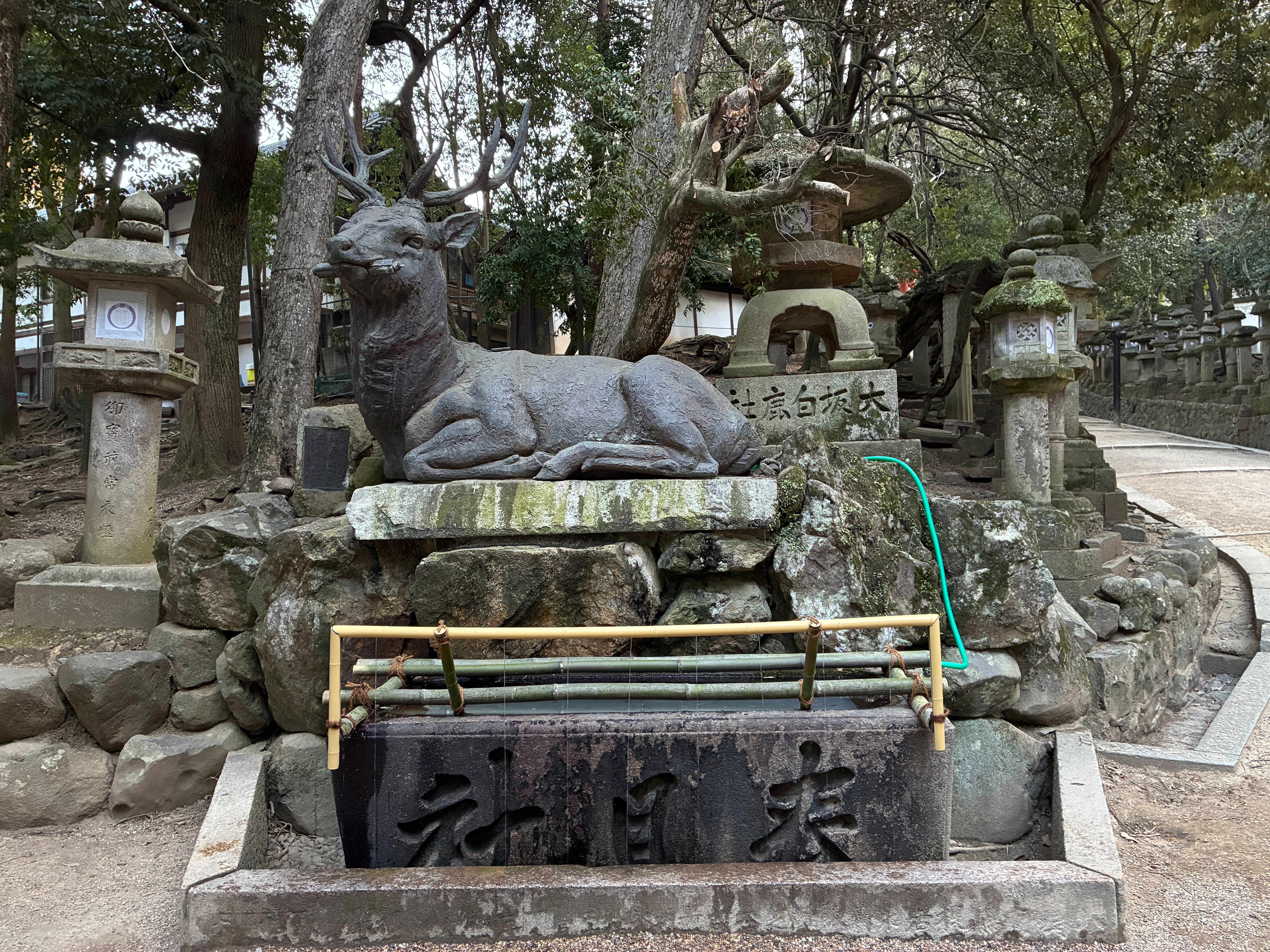 春日大社 伏鹿手水所