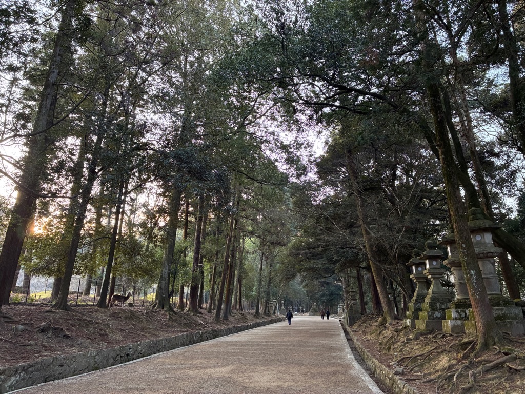春日大社 参道