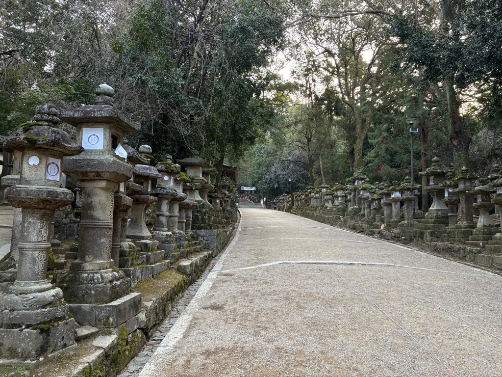 春日大社 参道の燈籠