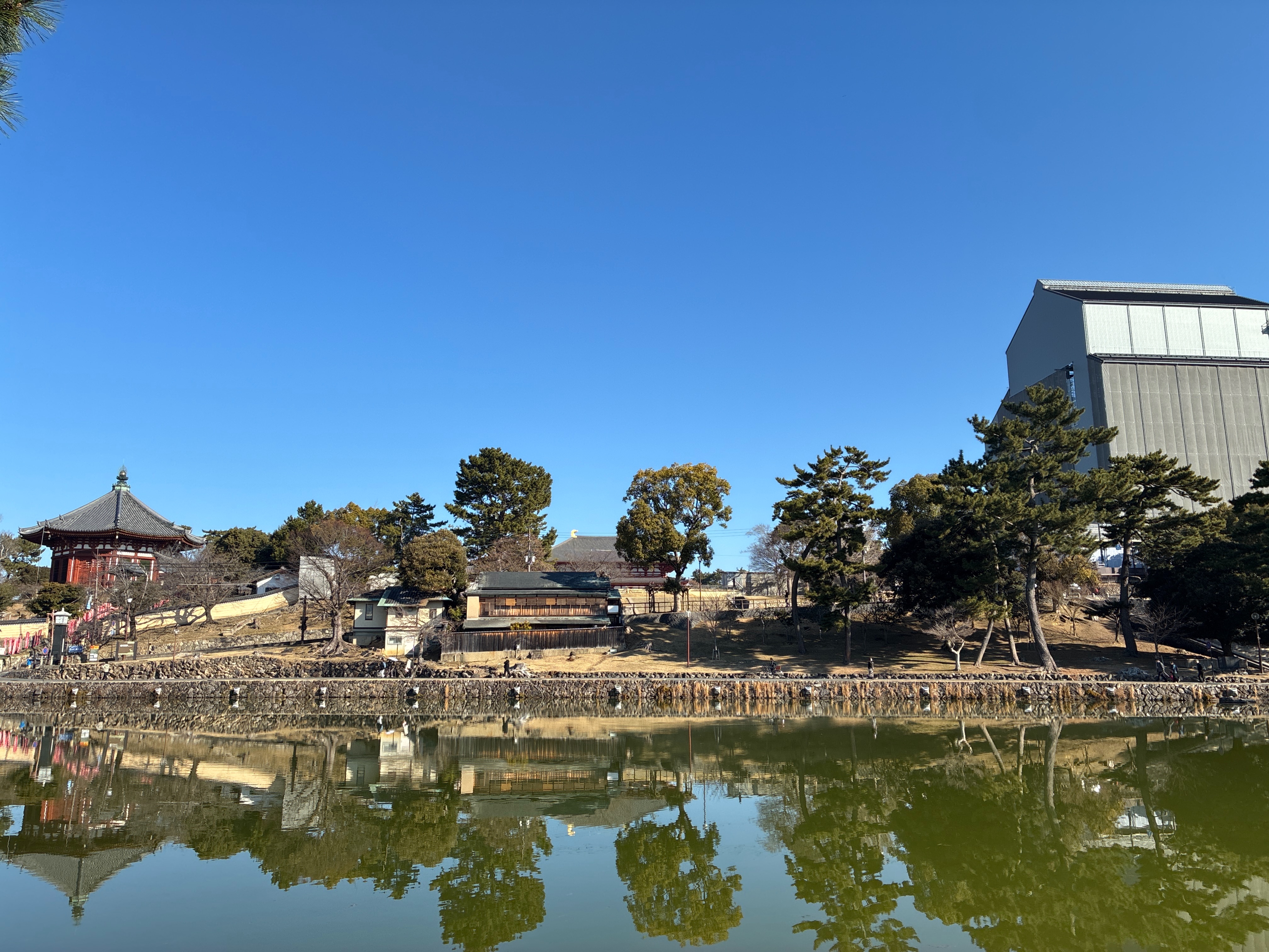 猿沢池から保存修理工事中の興福寺五重塔