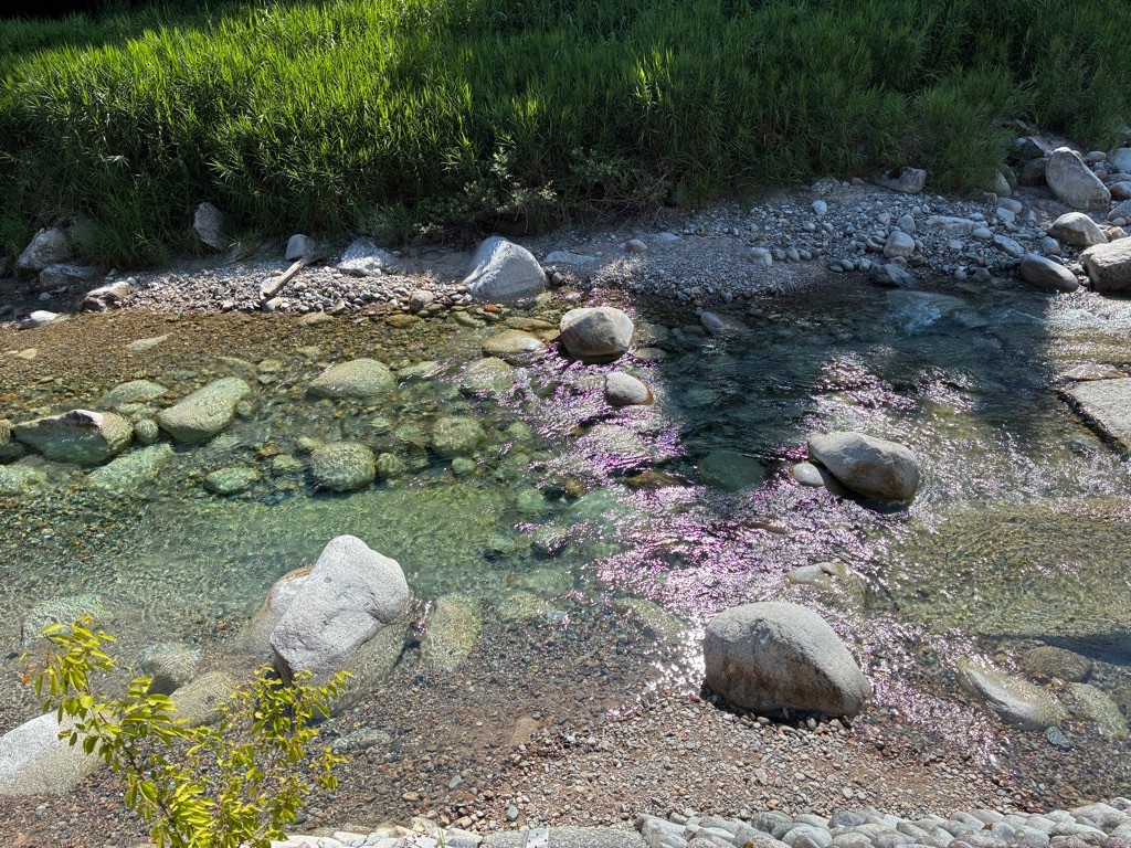 片貝山ノ守キャンプ場 片貝川 清流