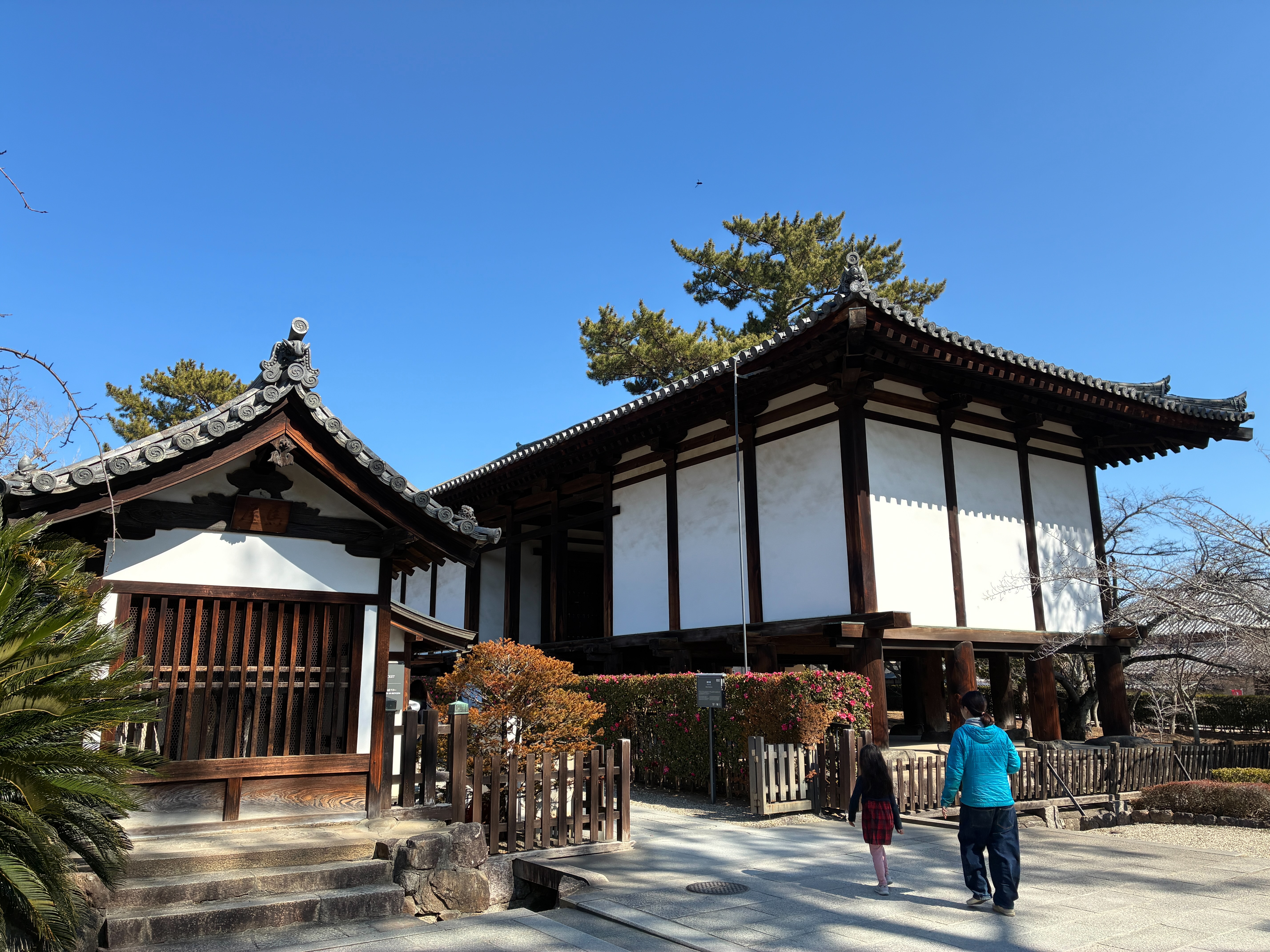 法隆寺 国宝 綱封蔵