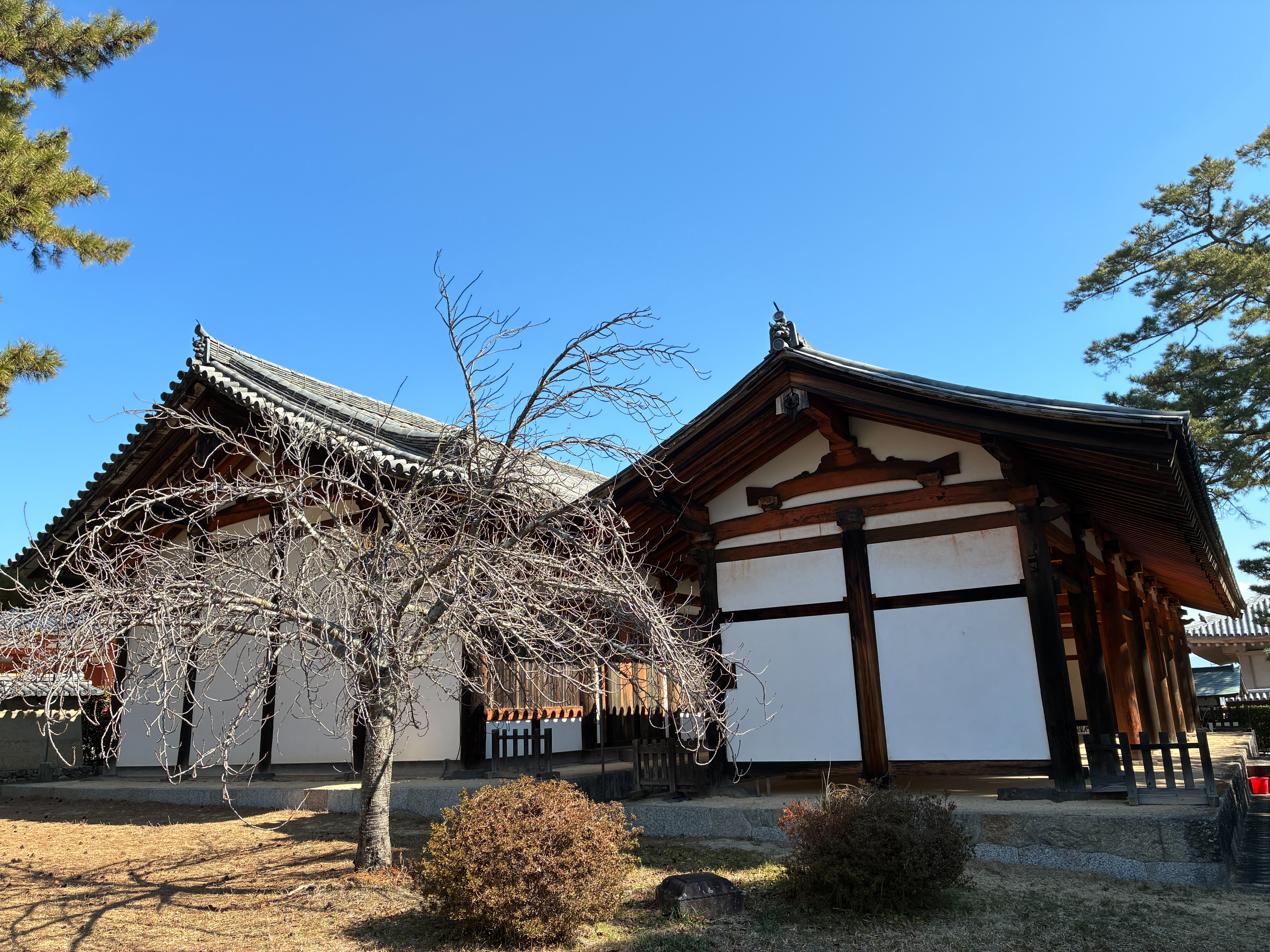 法隆寺 国宝 食堂（左）重要文化財 細殿（右）
