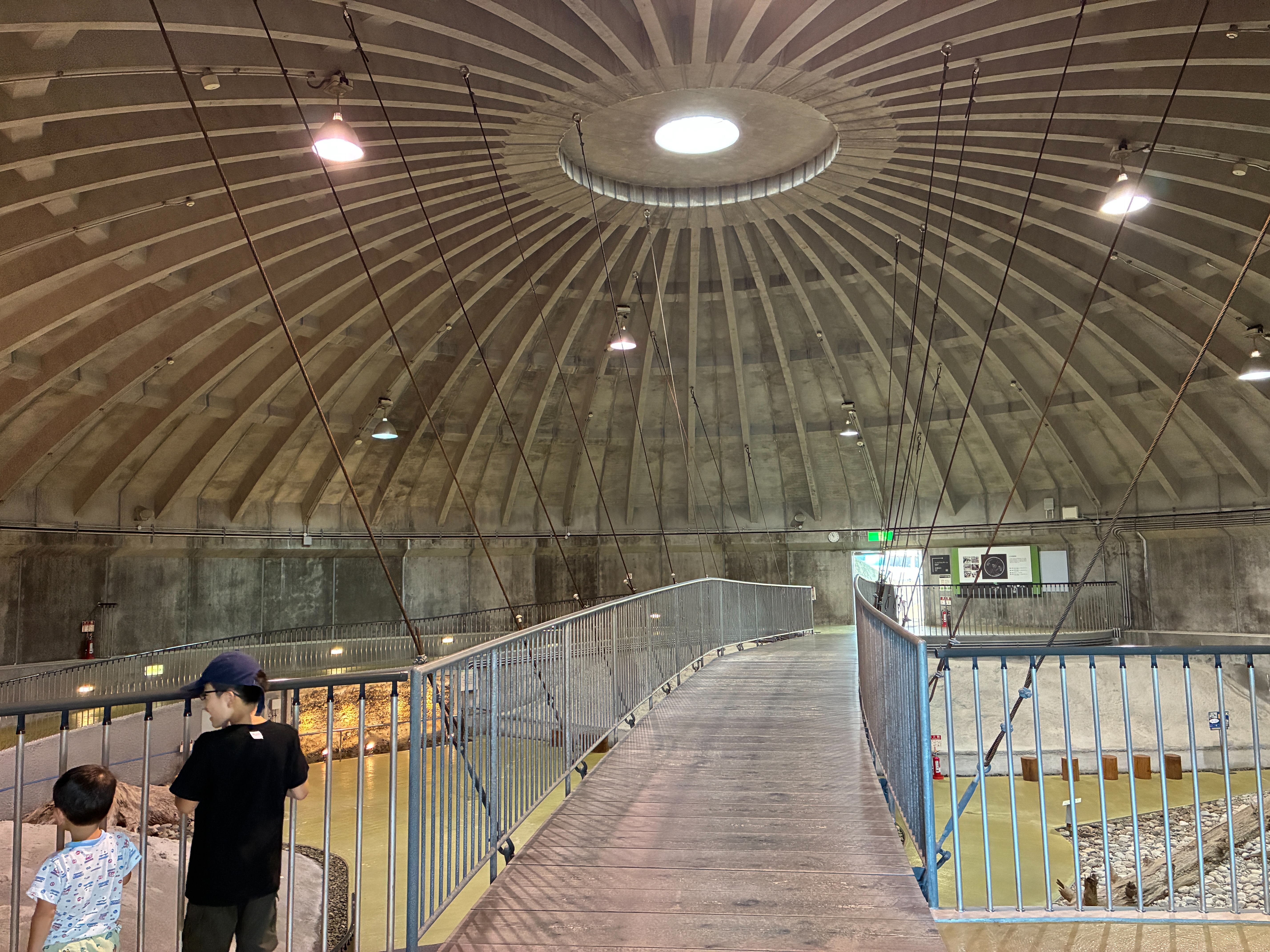 魚津埋没林博物館 特別天然記念物 魚津埋没林 ドーム館