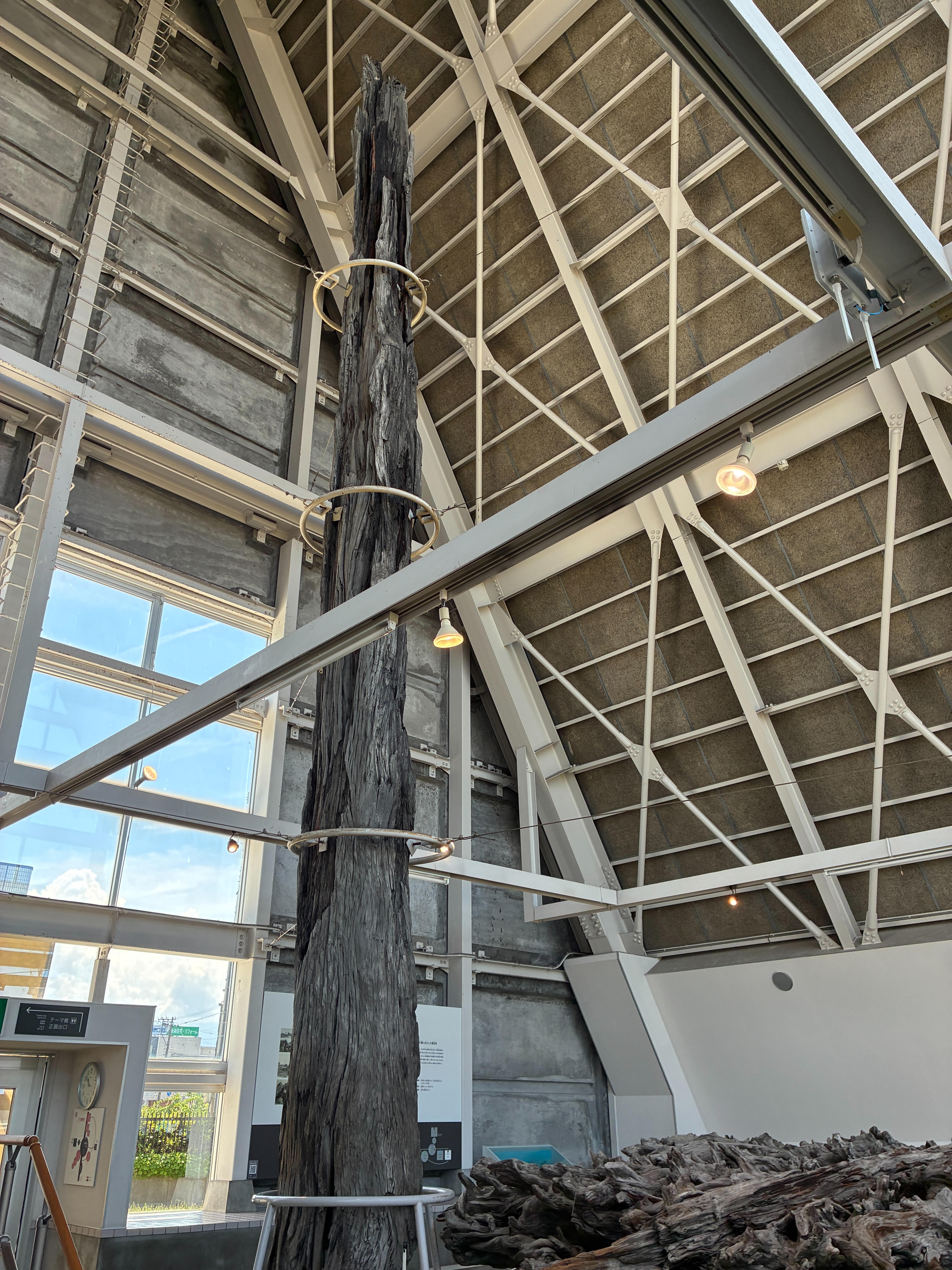 魚津埋没林博物館 特別天然記念物 魚津埋没林 乾燥展示館