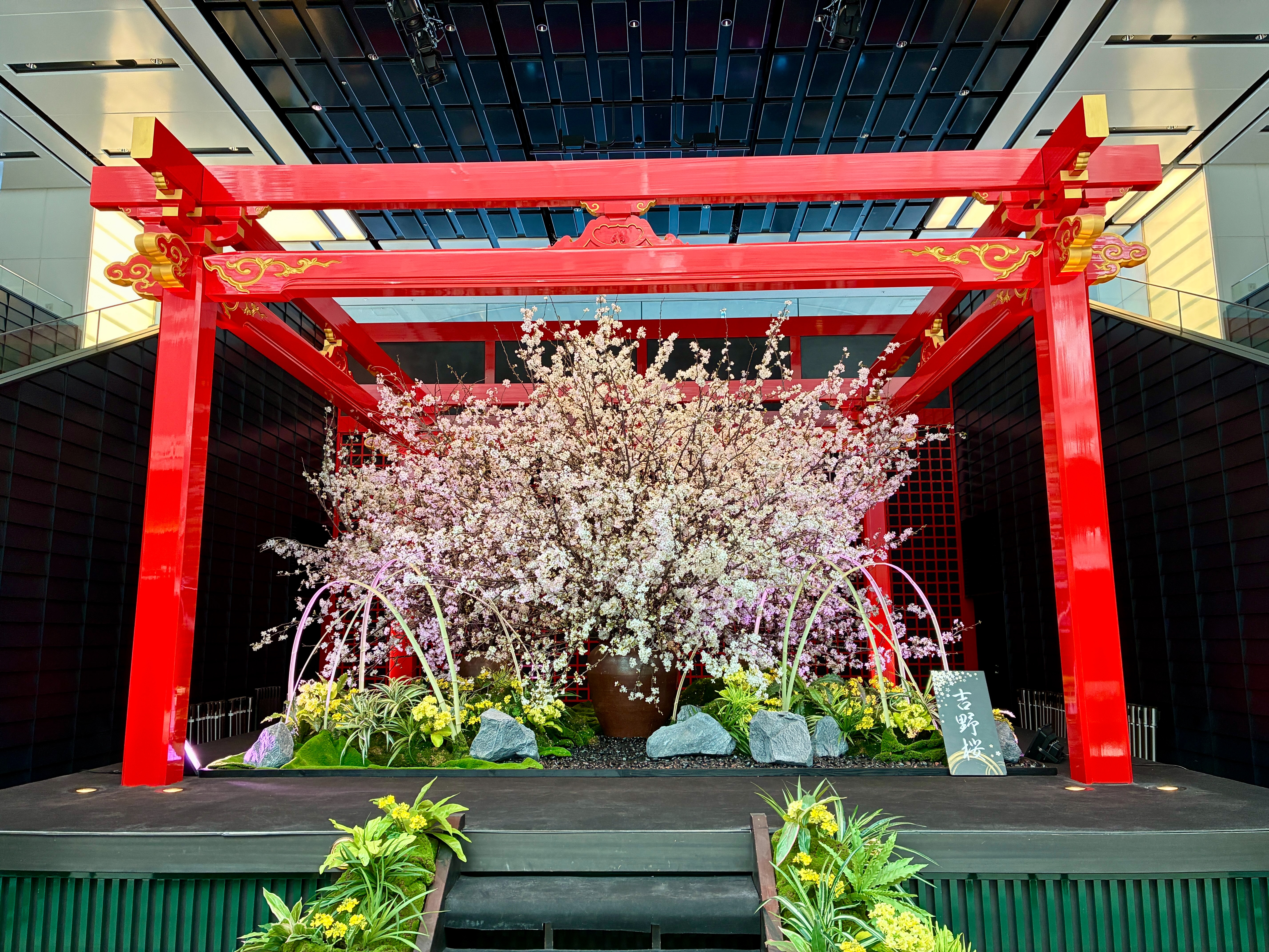 羽田空港第3ターミナル 出発ロビー 江戸舞台 吉野桜