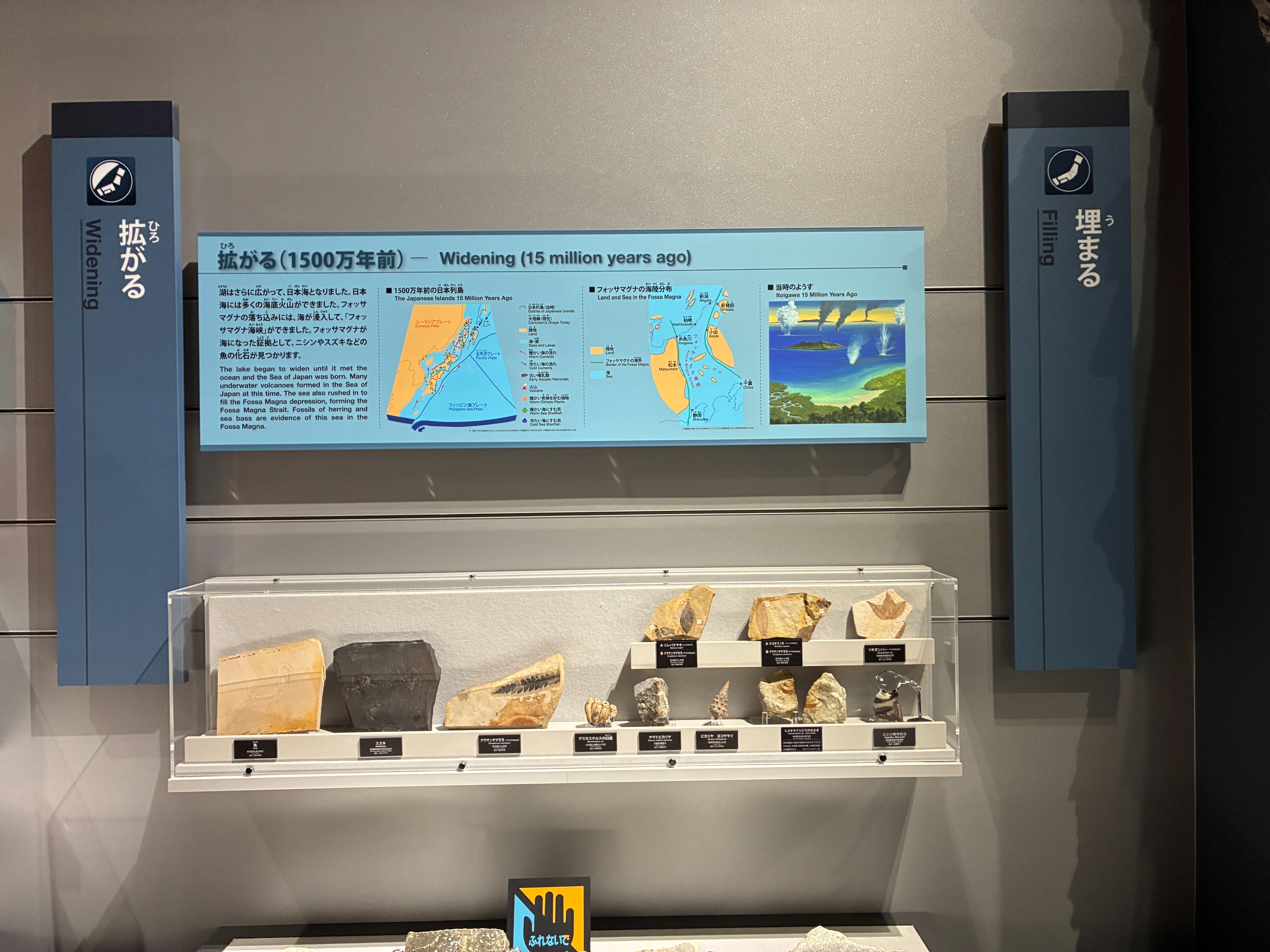 フォッサマグナミュージアム 詳細なパネル展示