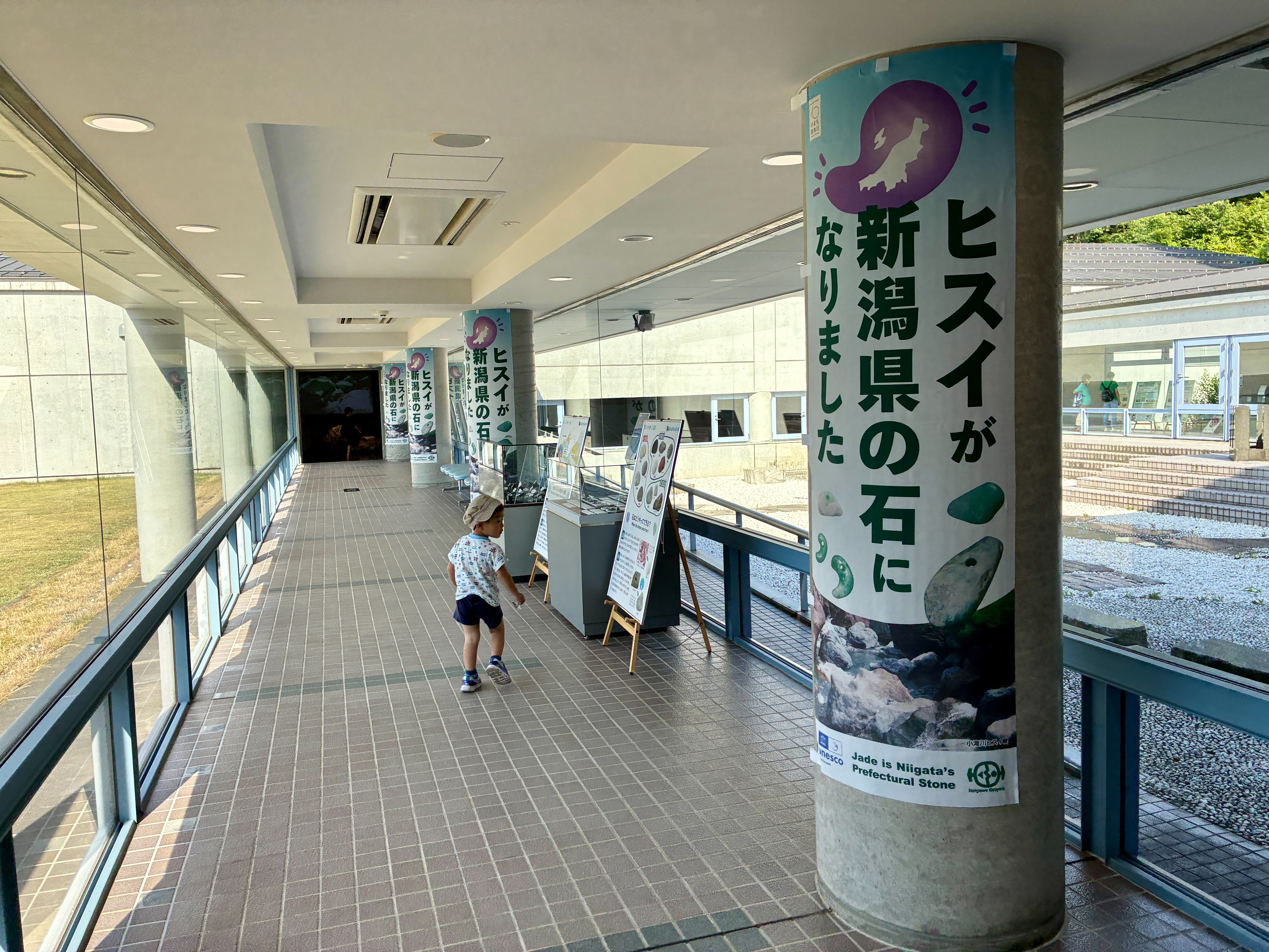 フォッサマグナミュージアム ヒスイが新潟県の石になりました