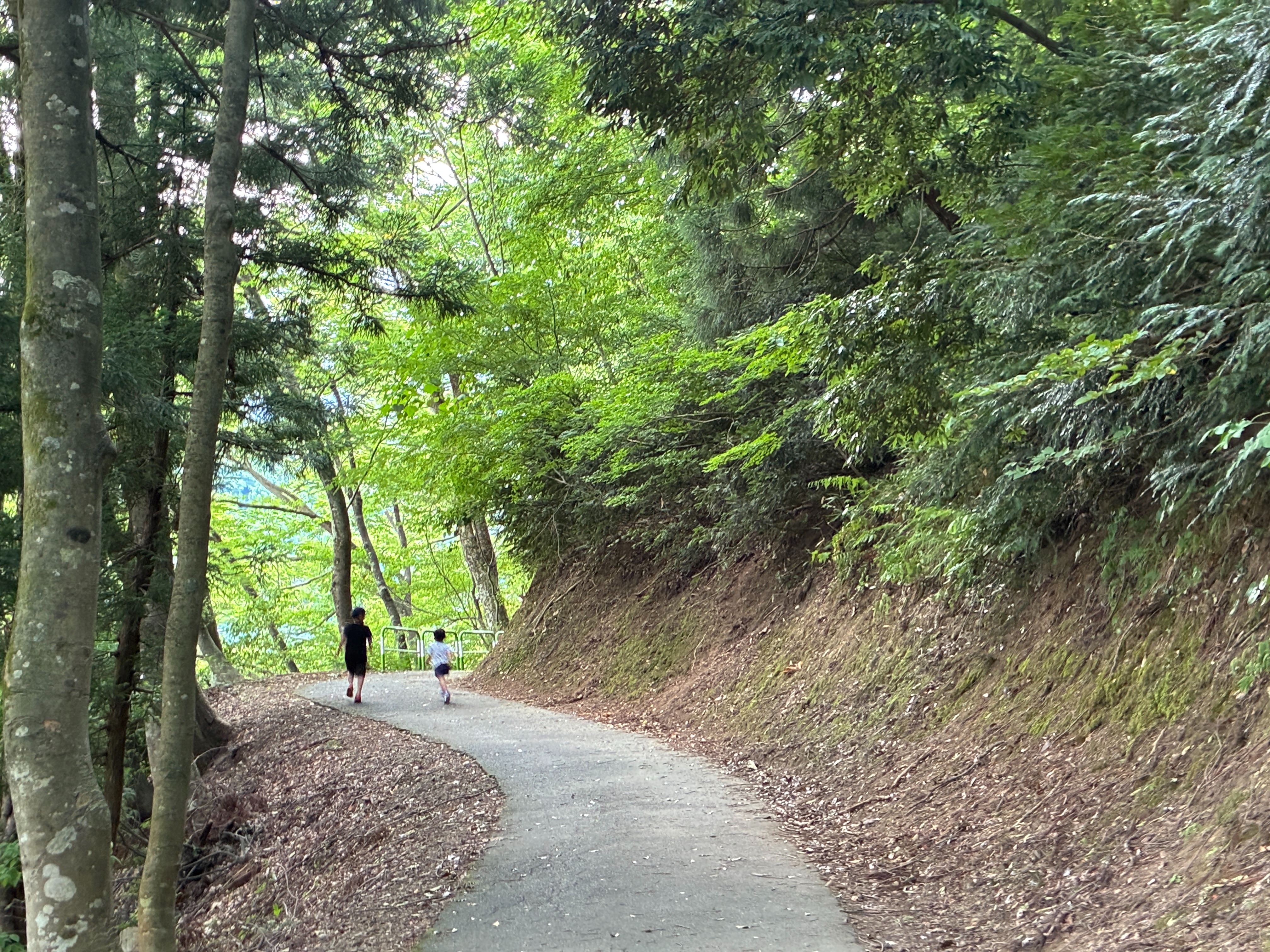 フォッサマグナパーク 遊歩道