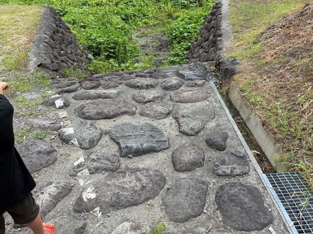 フォッサマグナパーク 断層を示す白線