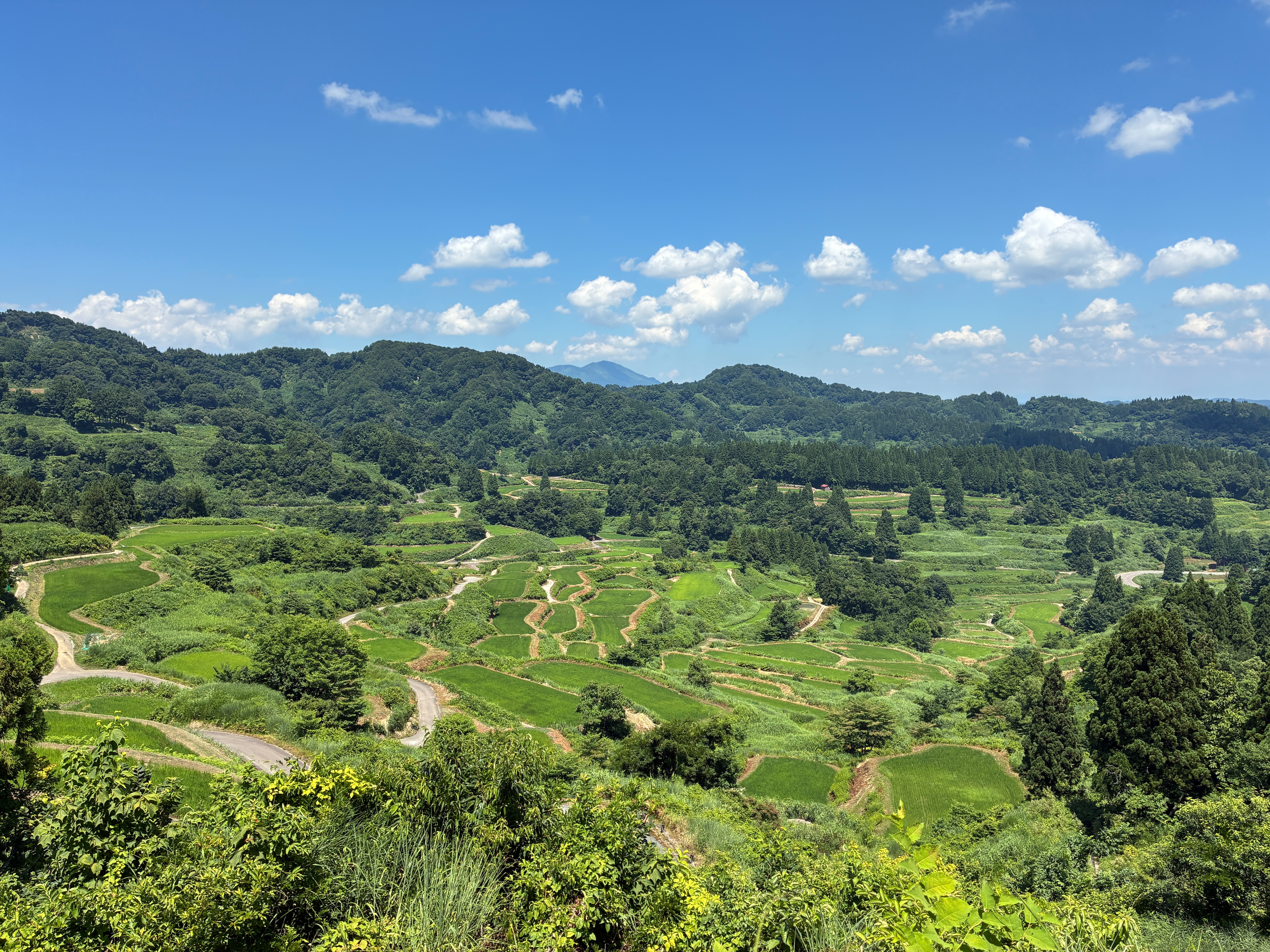 星峠の棚田 全景