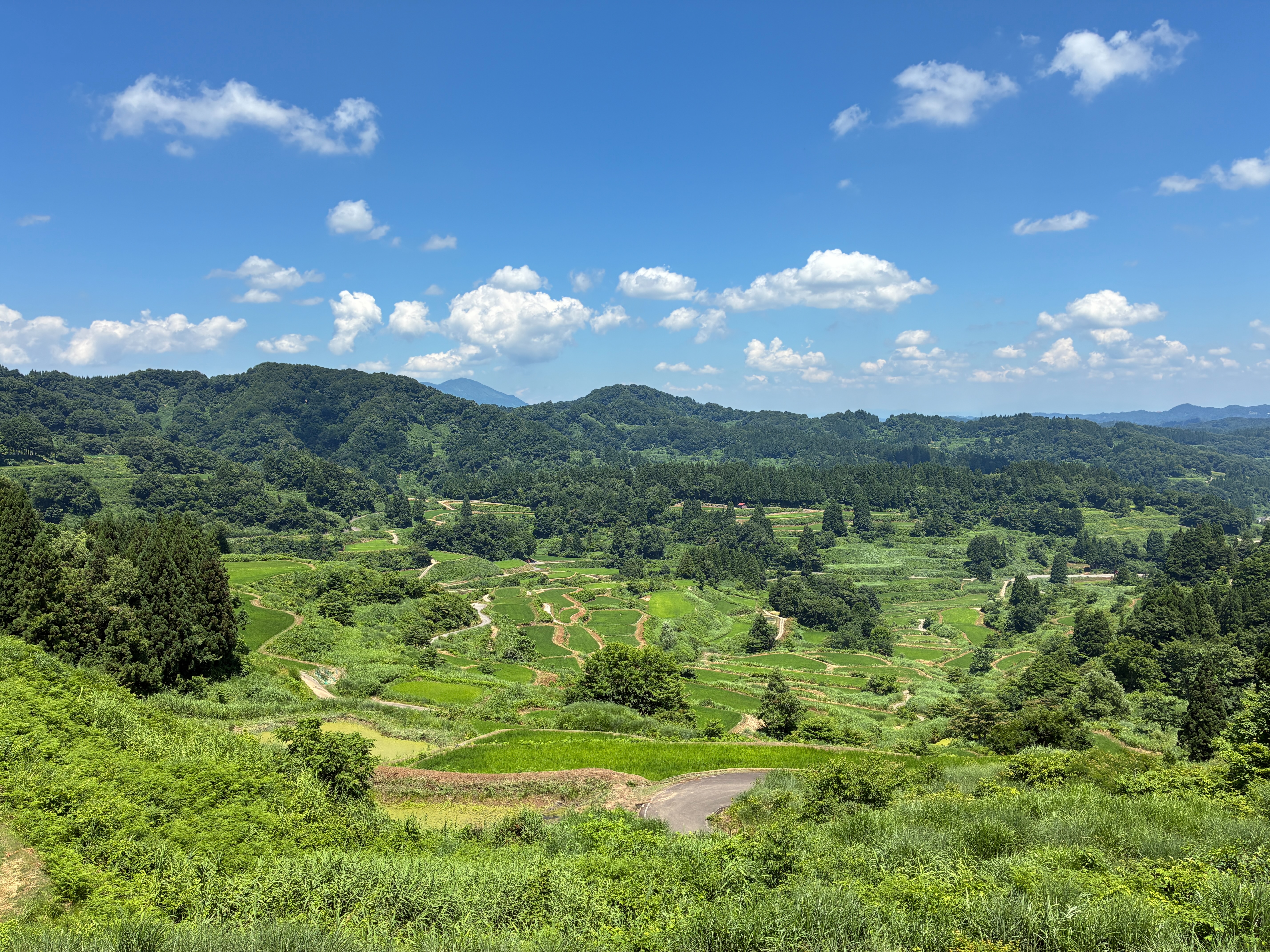 展望台から星峠の棚田