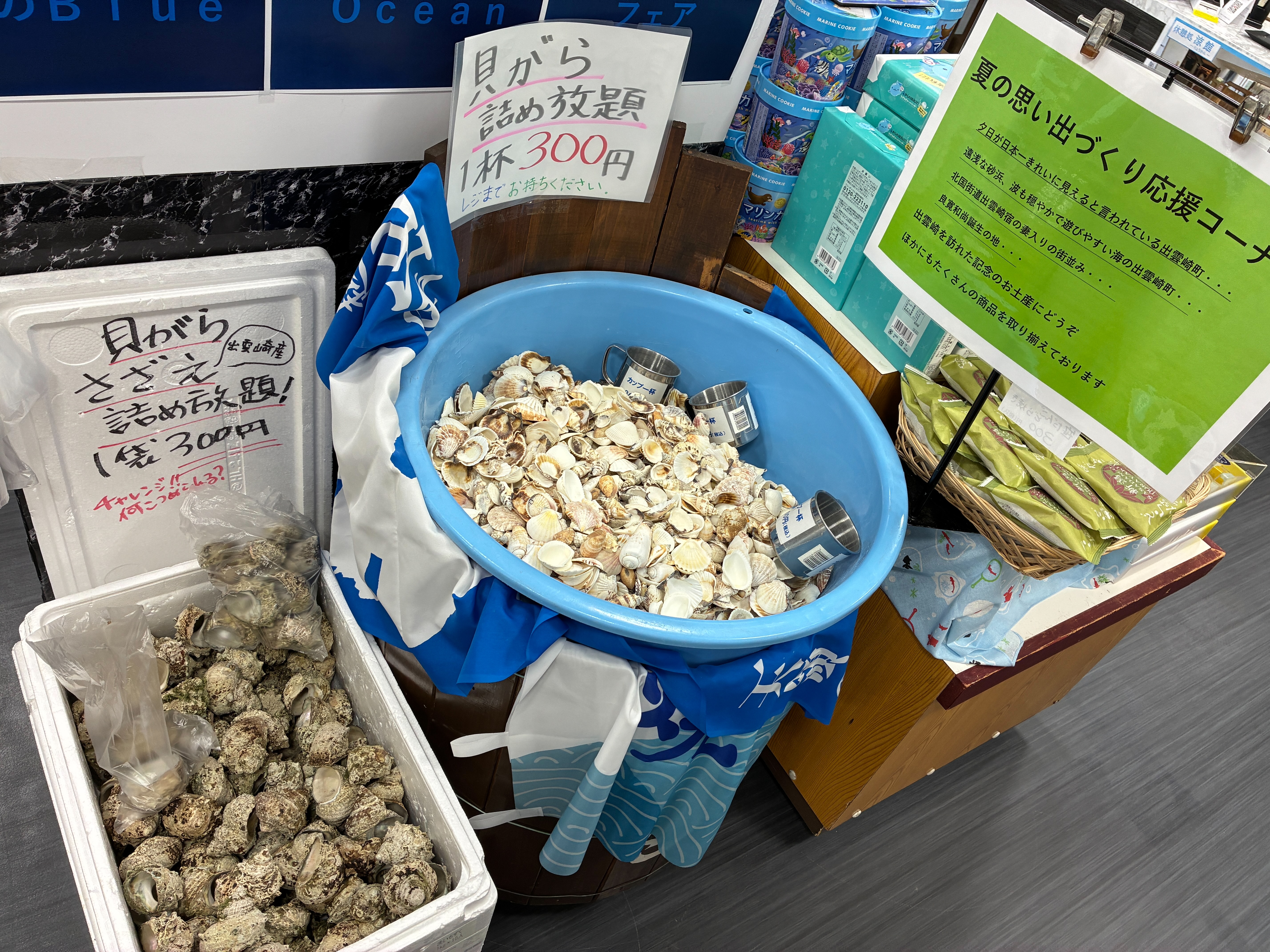 道の駅 越後出雲崎 天領の里 貝殻つめ放題!