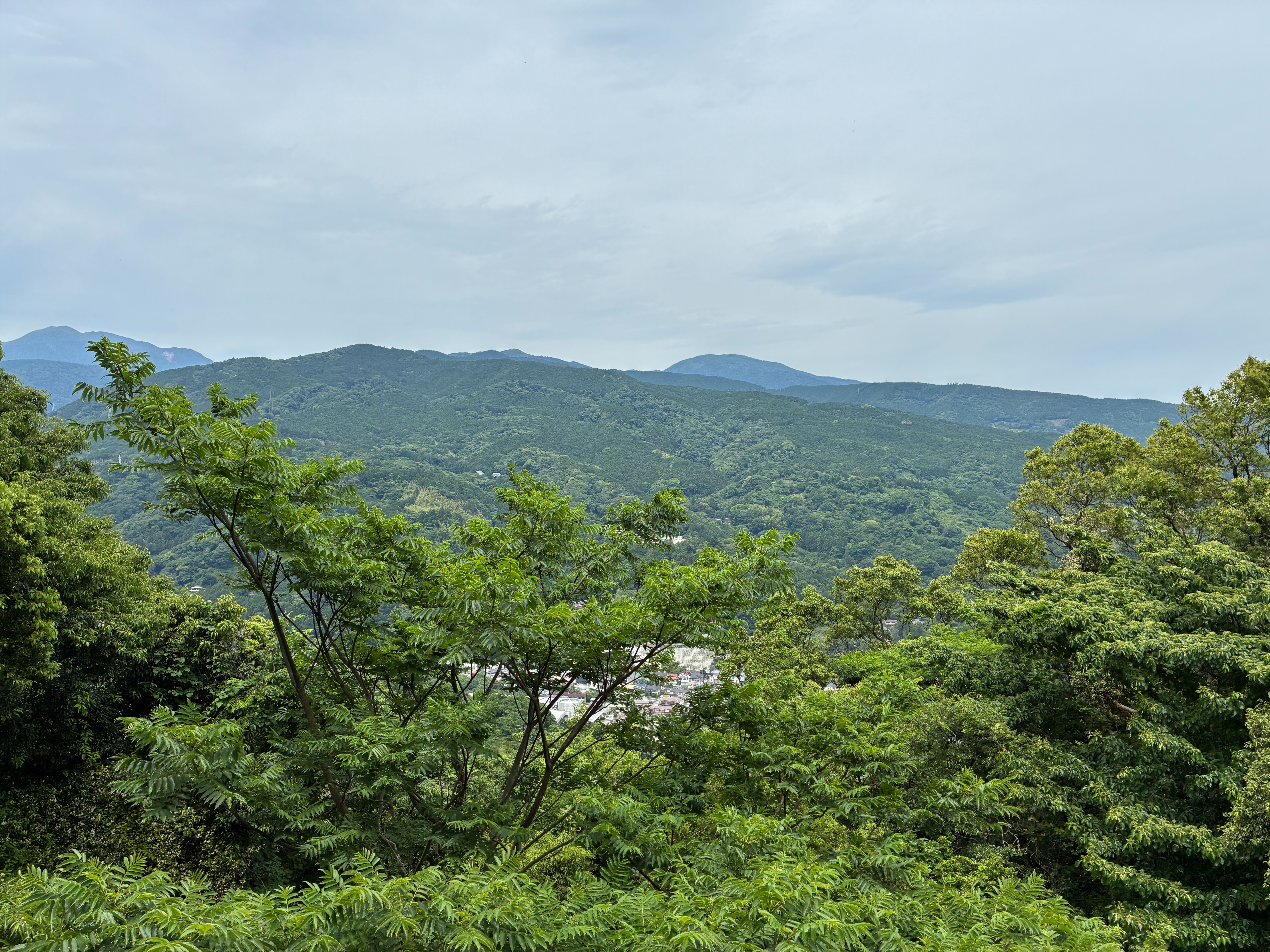石垣山城 展望台
