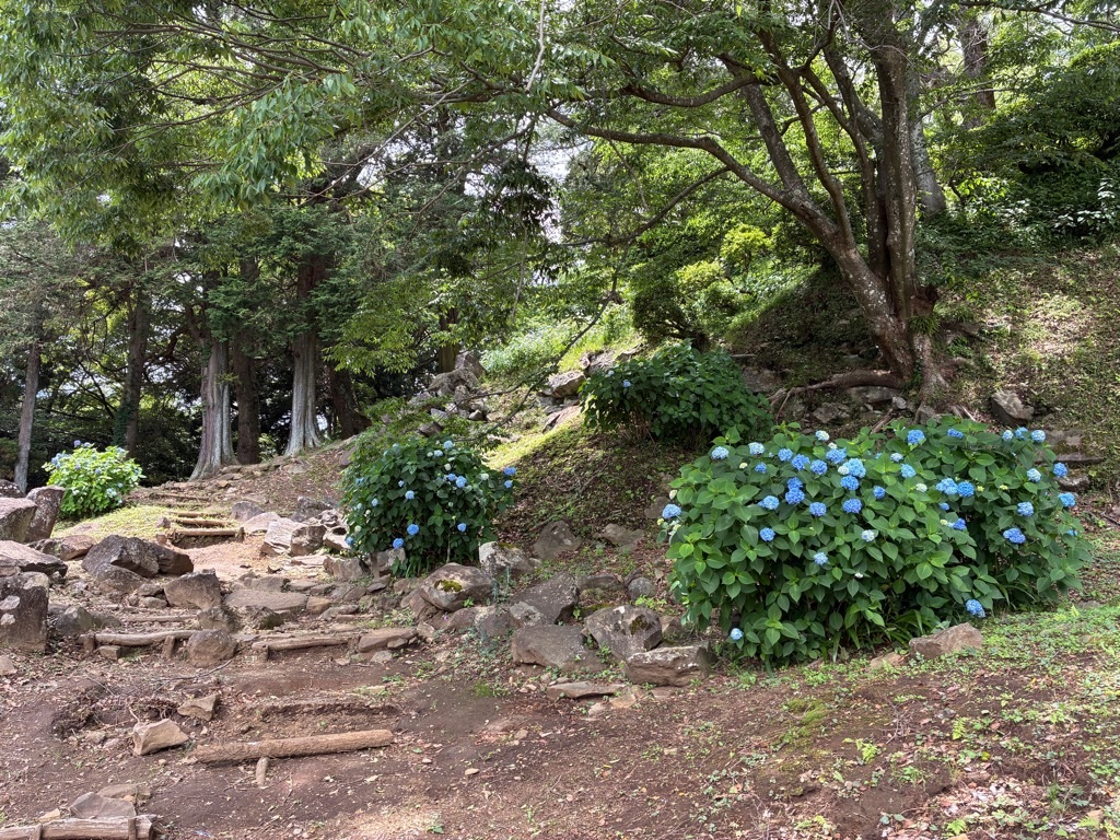 石垣山城 本丸下南側