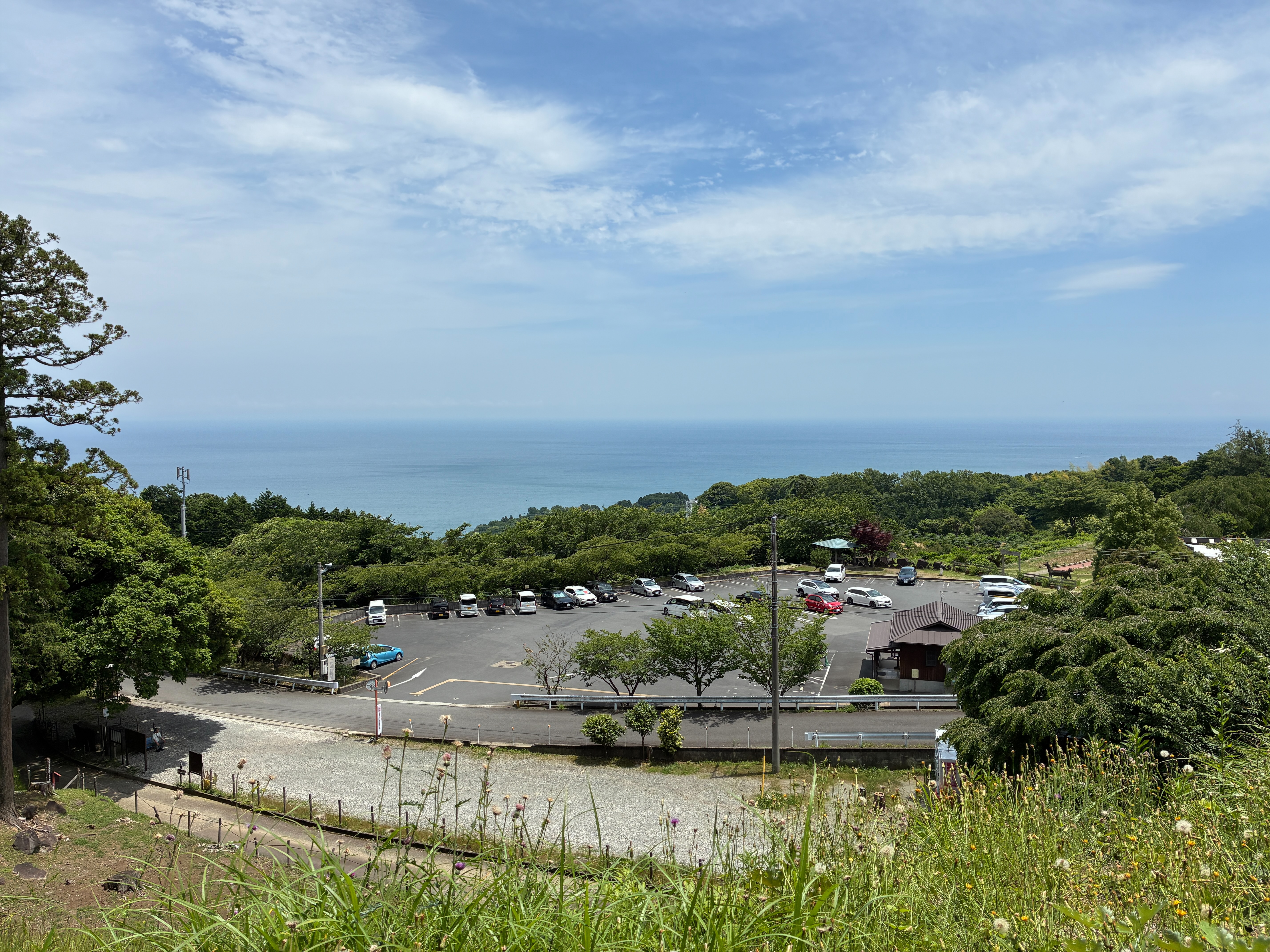 石垣山城 南曲輪跡から駐車場と相模湾