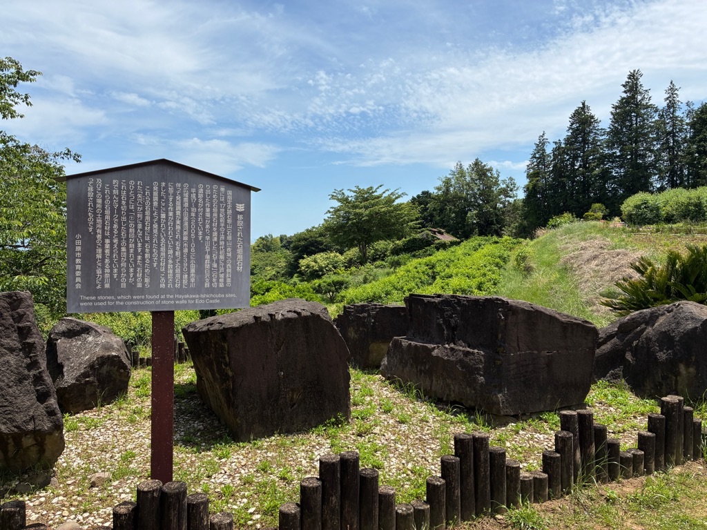 石垣山城 移設された石垣用石材