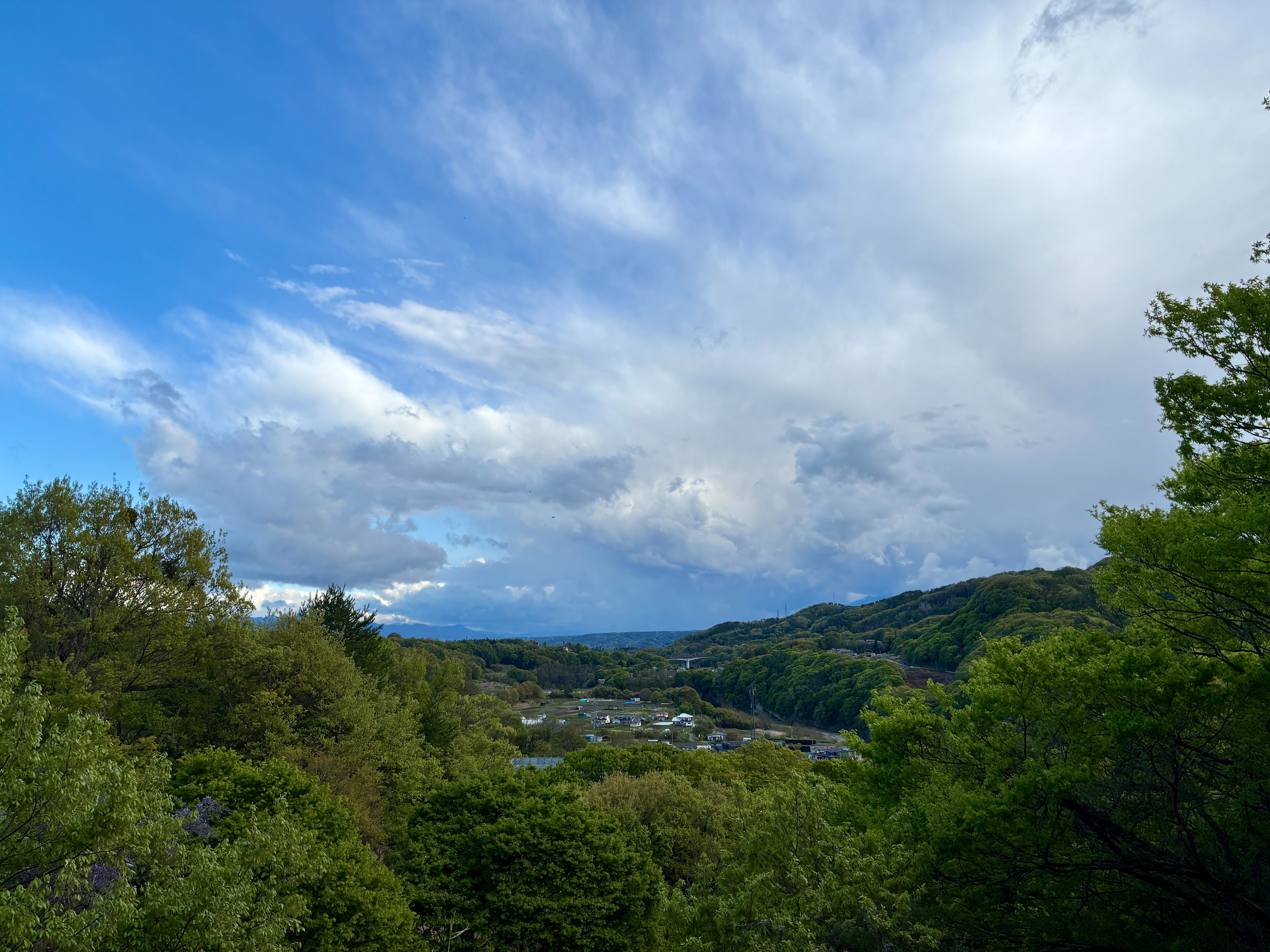 小諸城址 懐古園 富士見展望台からの眺め