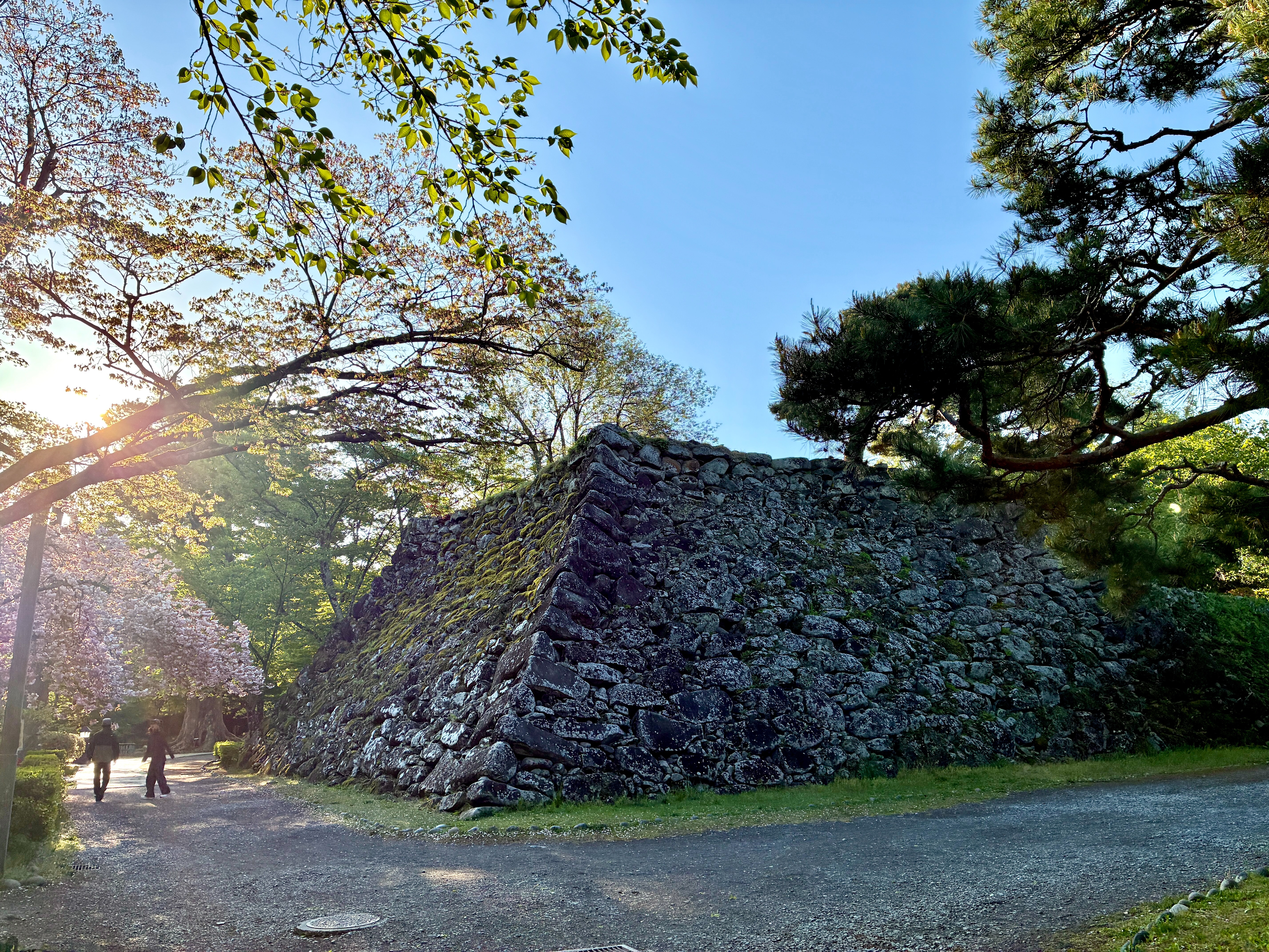 小諸城址 懐古園 馬場跡から天守台 朝